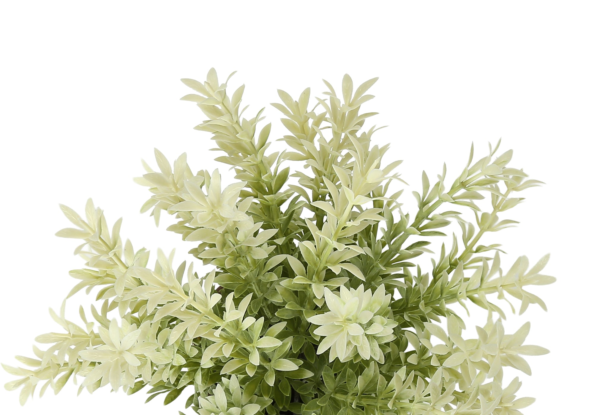 PLANTE ARTIFICIELLE - 2MCX / 12"H MULBERRY GAZON / POT 4" – I 9360