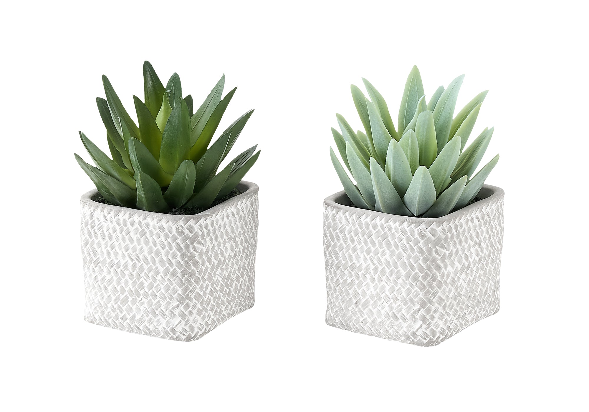 PLANTE ARTIFICIELLE - 2MCX / 8"H SUCCULENT POT CIMENT 5" – I 9363