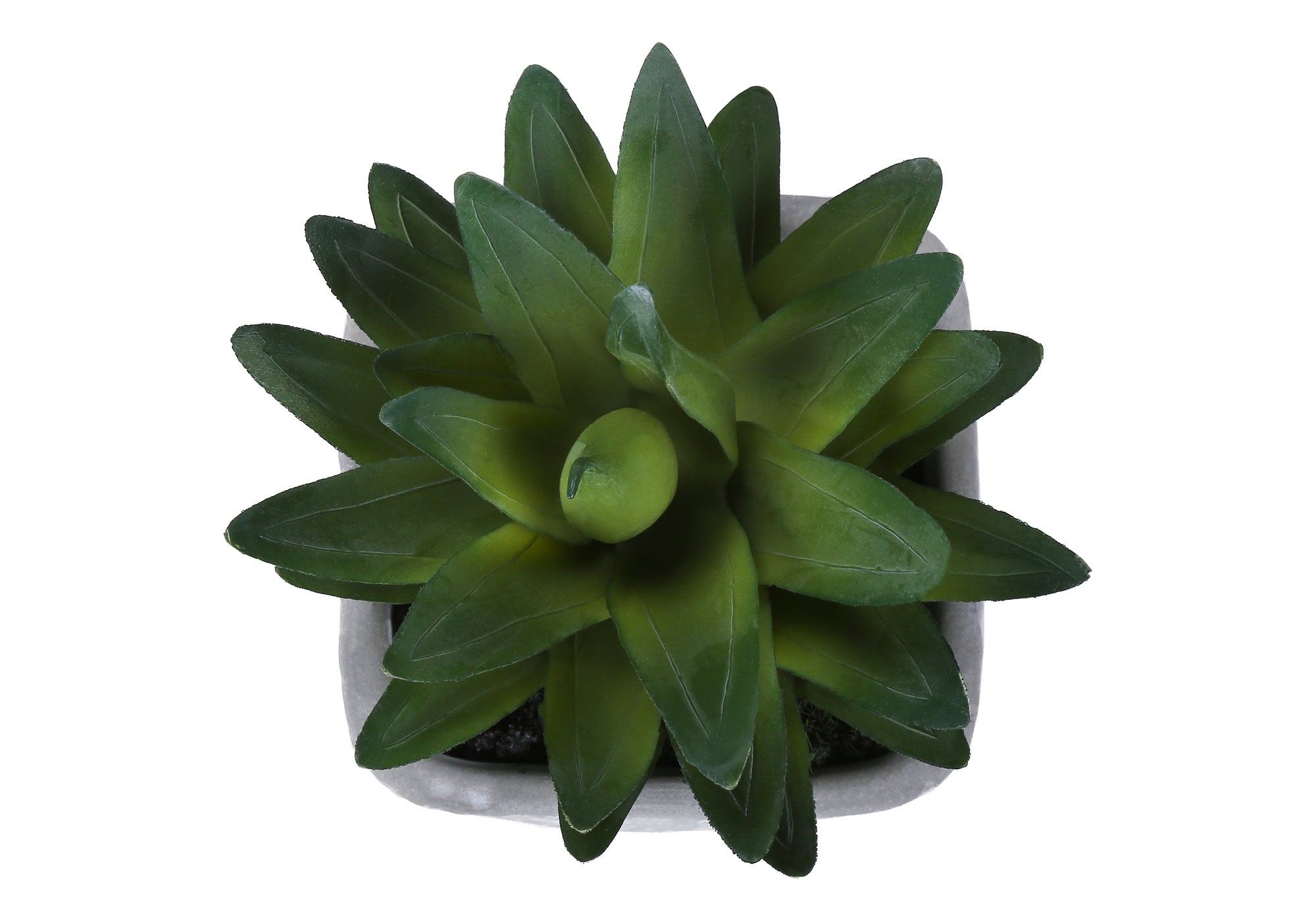 PLANTE ARTIFICIELLE - 2MCX / 8"H SUCCULENT POT CIMENT 5" – I 9363