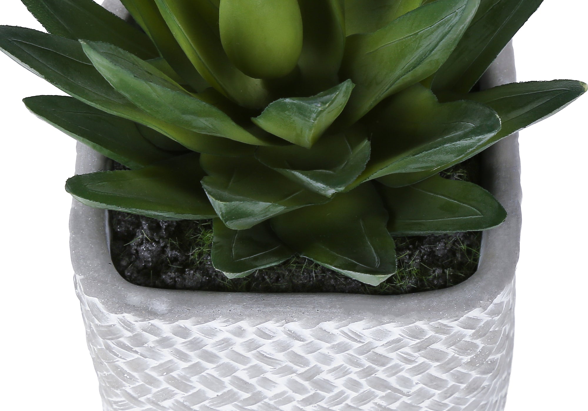 PLANTE ARTIFICIELLE - 2MCX / 8"H SUCCULENT POT CIMENT 5" – I 9363