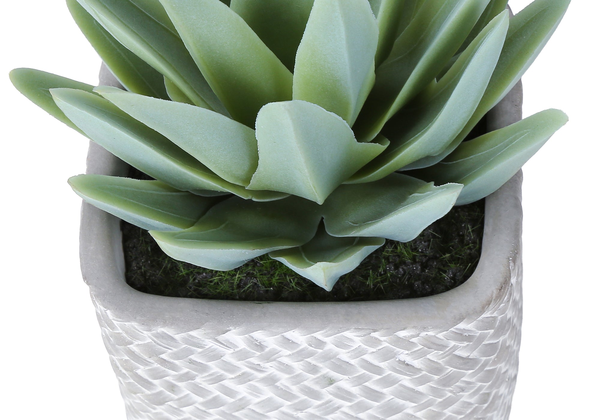 PLANTE ARTIFICIELLE - 2MCX / 8"H SUCCULENT POT CIMENT 5" – I 9363