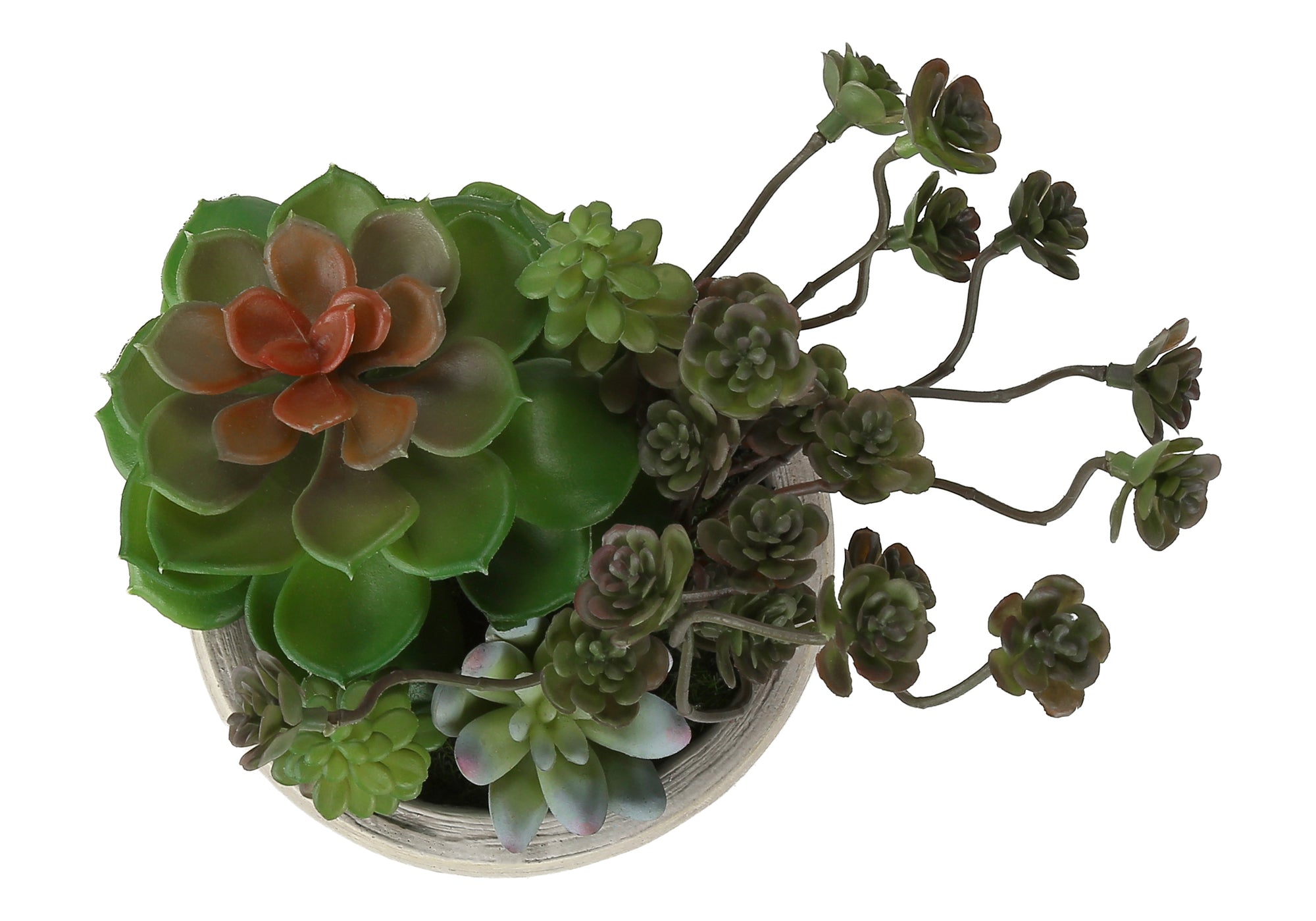 PLANTE ARTIFICIELLE - 2MCX / 9"H SUCCULENT POT CIMENT 5" – I 9365