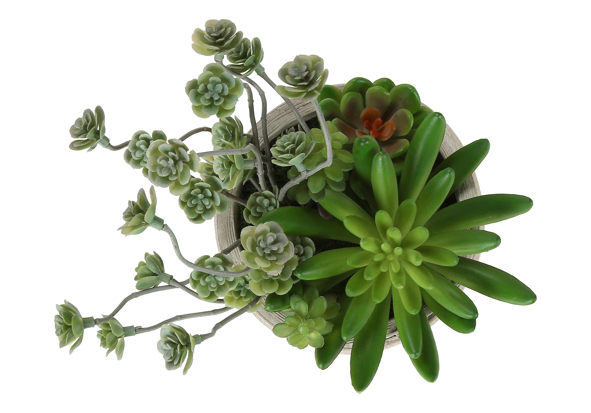 PLANTE ARTIFICIELLE - 2MCX / 9"H SUCCULENT POT CIMENT 5" – I 9365