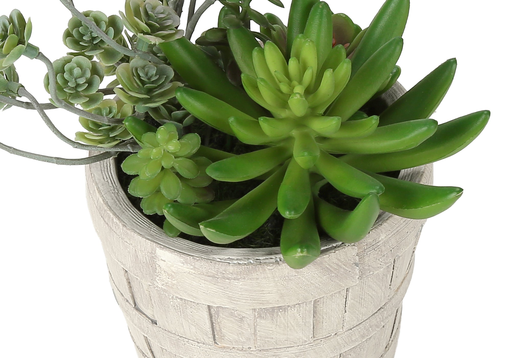 PLANTE ARTIFICIELLE - 2MCX / 9"H SUCCULENT POT CIMENT 5" – I 9365