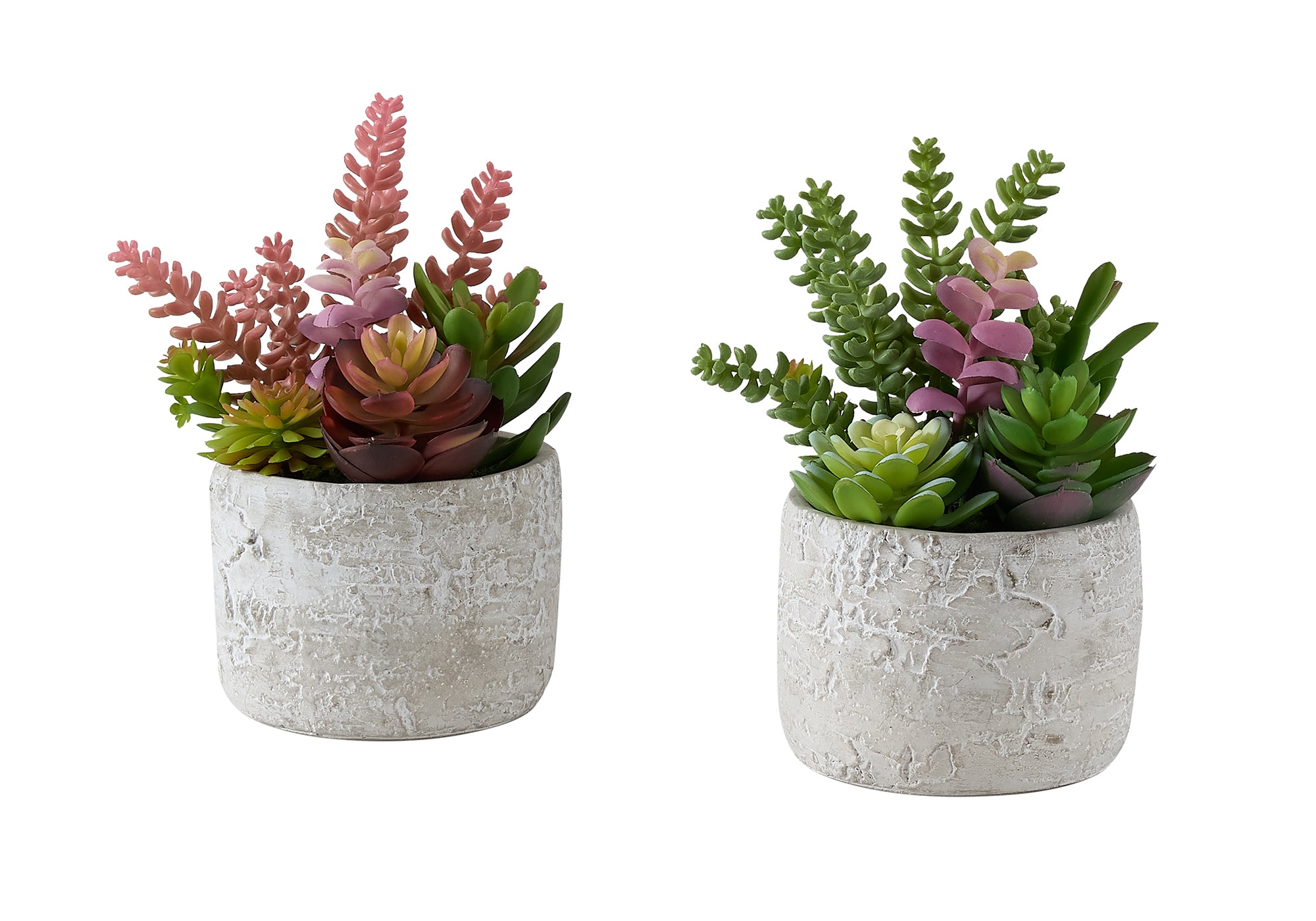 PLANTE ARTIFICIELLE - 2MCX / 9"H SUCCULENT POT CIMENT 5" – I 9366