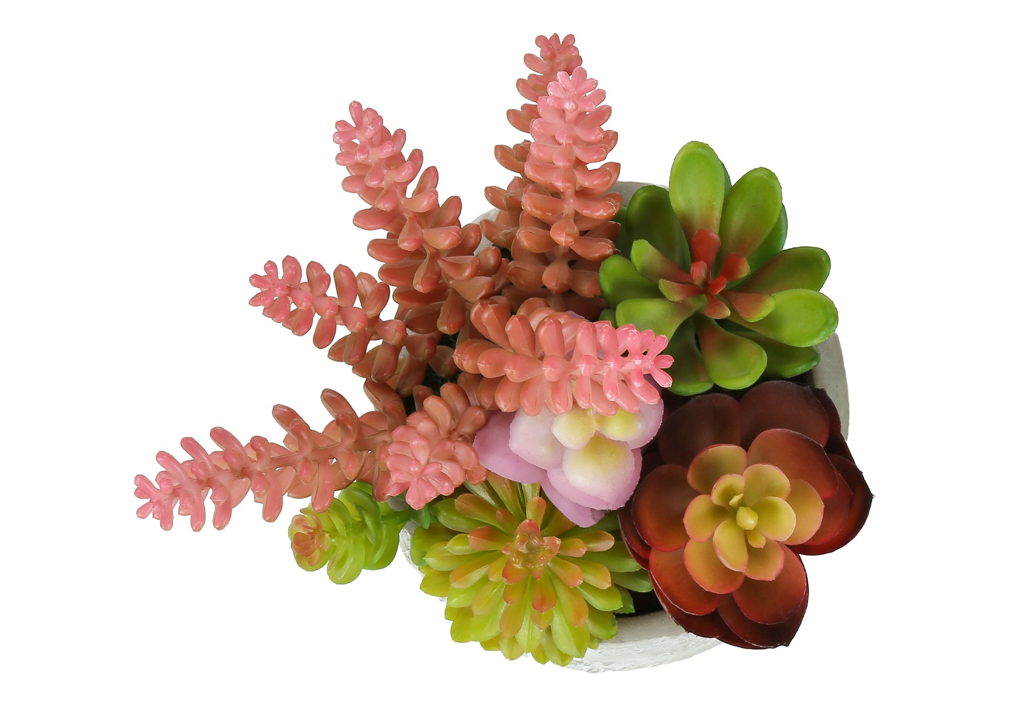 PLANTE ARTIFICIELLE - 2MCX / 9"H SUCCULENT POT CIMENT 5" – I 9366