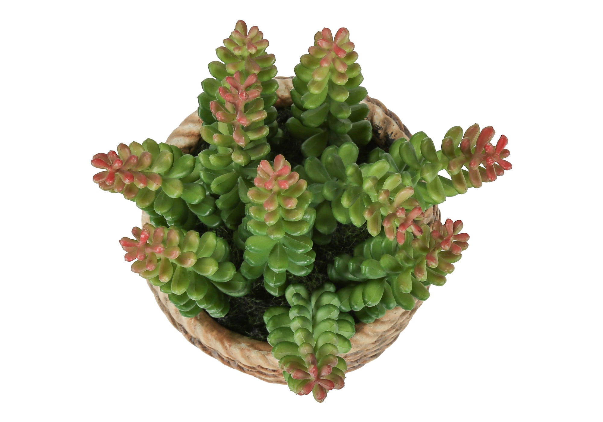 PLANTE ARTIFICIELLE - 2MCX / 7"H SUCCULENT POT CIMENT 4" – I 9367