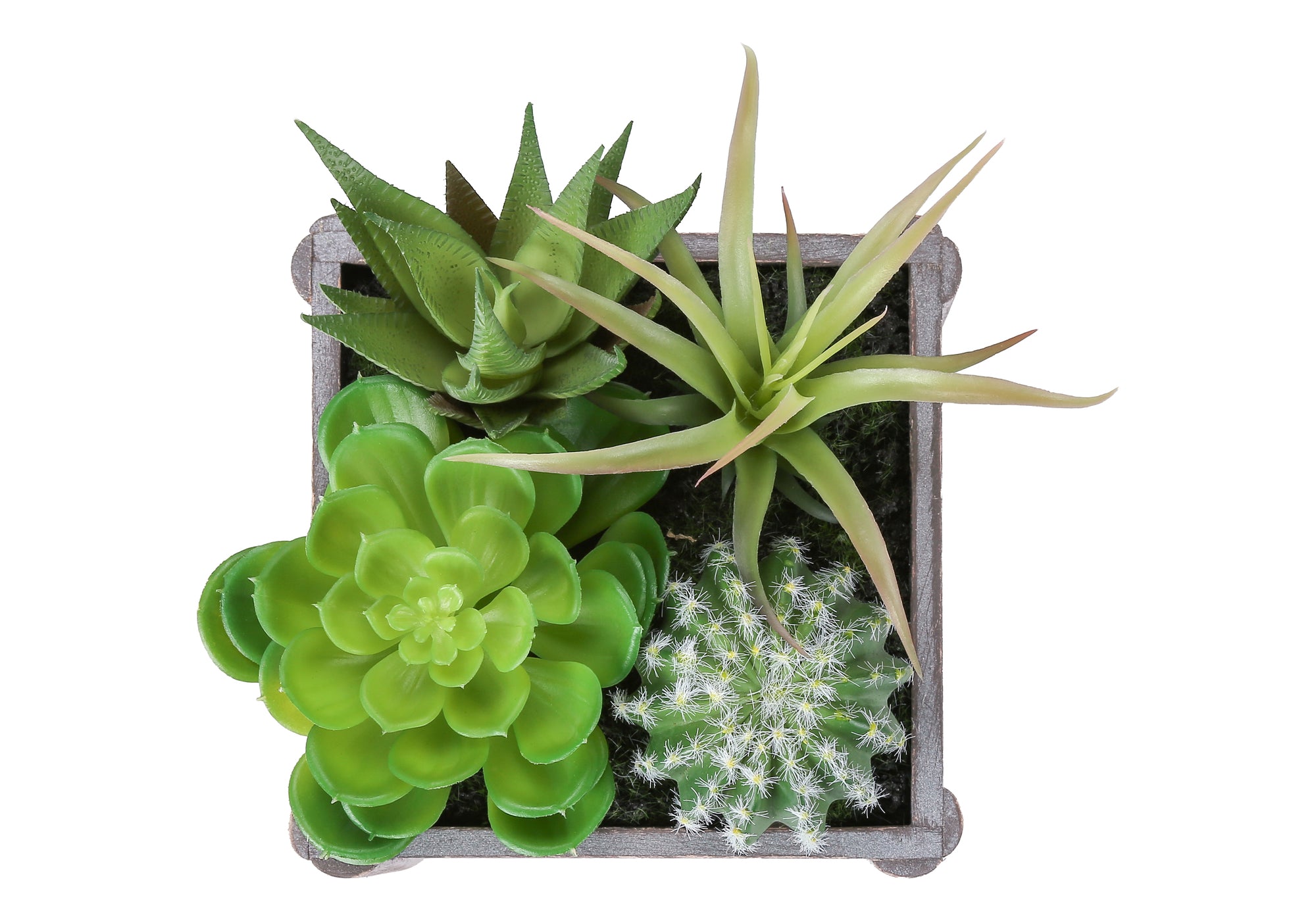 PLANTE ARTIFICIELLE - 2MCX / 8"H SUCCULENTE 7"X7" POT BOIS – I 9370