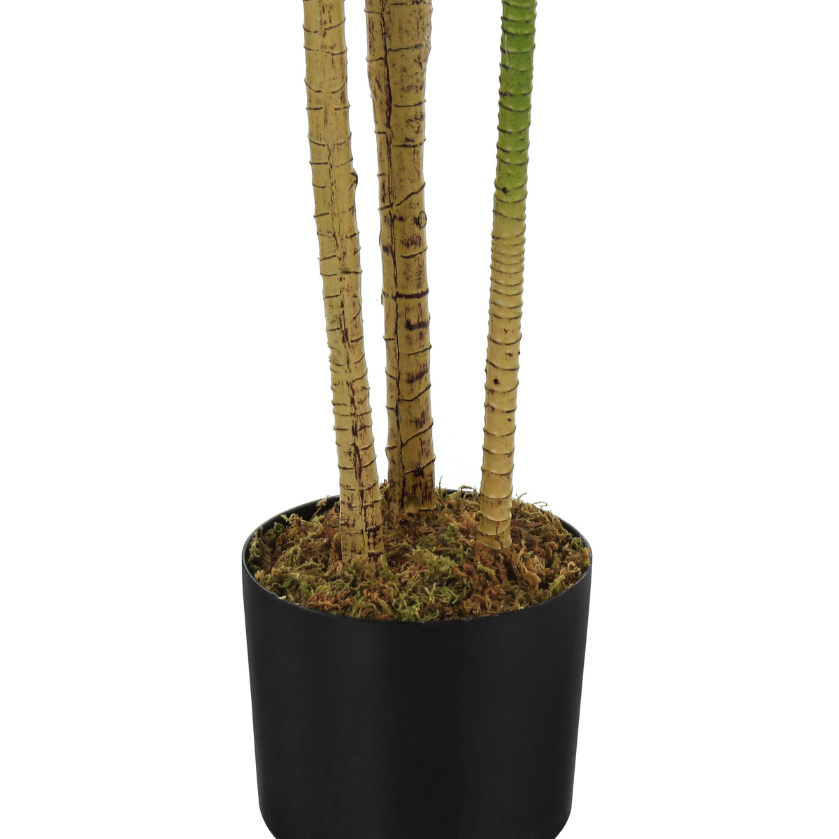 PLANTE ARTIFICIELLE - 51"H / DRACAENA INTERIEUR POT 5" – I 9543
