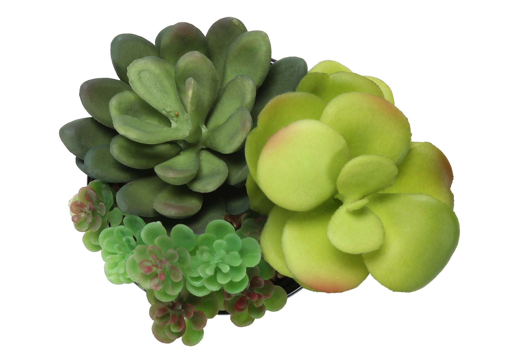 PLANTE ARTIFICIELLE - 2MCX / 7"H SUCCULENT POT 3" NOIR – I 9554