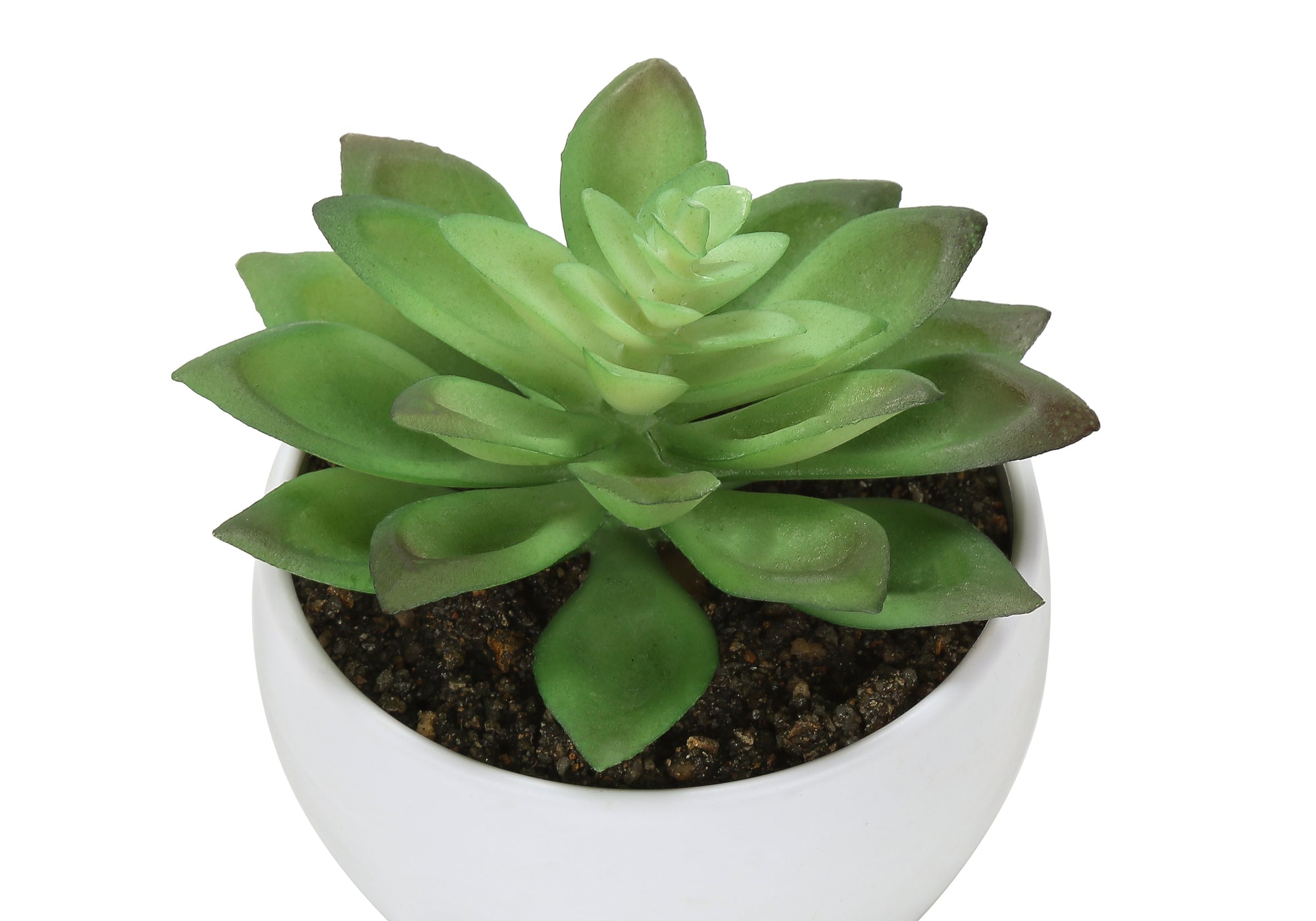 PLANTE ARTIFICIELLE - 3MCX / 6"H SUCCULENT POT BLANC 3" – I 9555