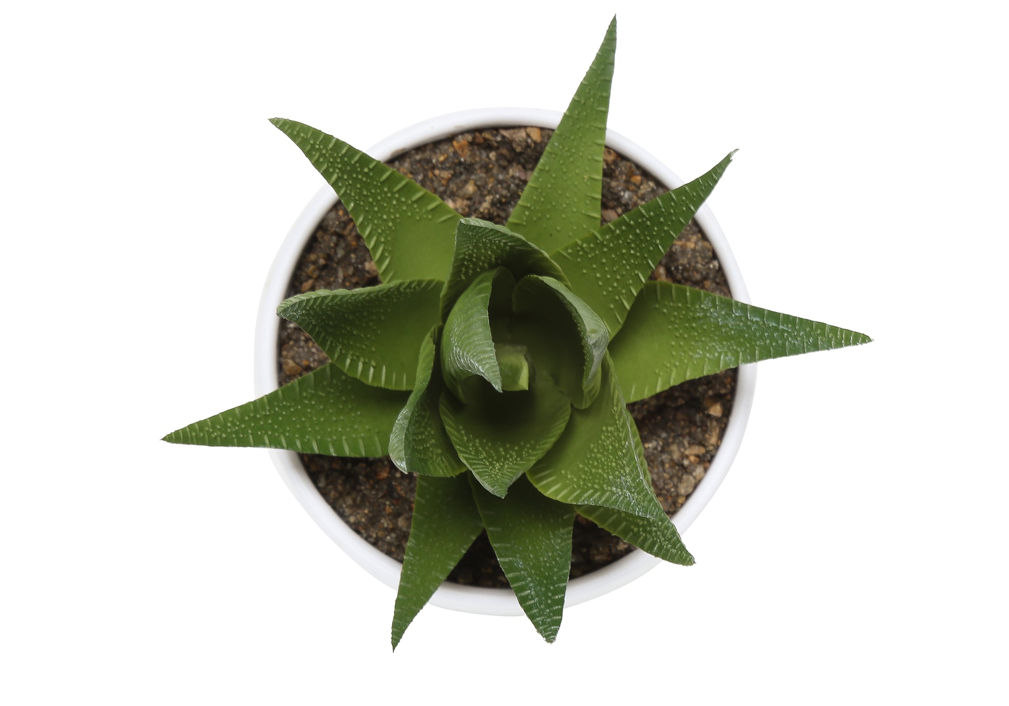 PLANTE ARTIFICIELLE - 3MCX / 6"H SUCCULENT POT BLANC 3" – I 9555