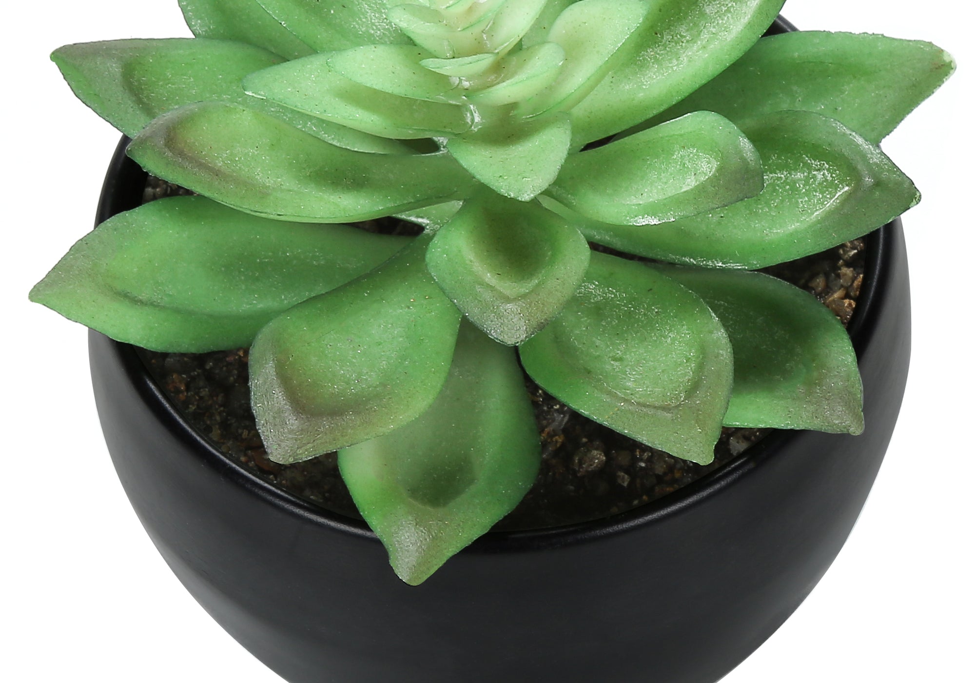 PLANTE ARTIFICIELLE - 3MCX / 6"H SUCCULENT POT NOIR 3" – I 9556