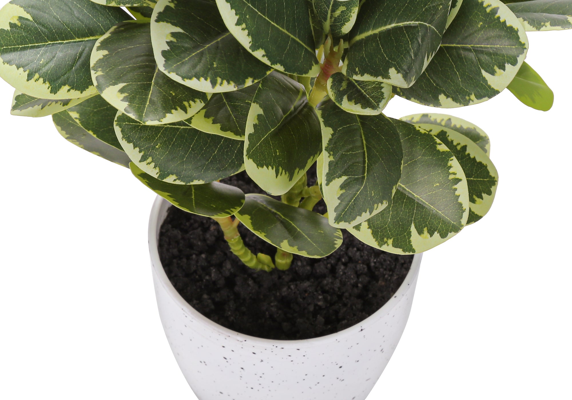 PLANTE ARTIFICIELLE - 2MCX / 14"H FICUS ELASTICA POT 4" – I 9557