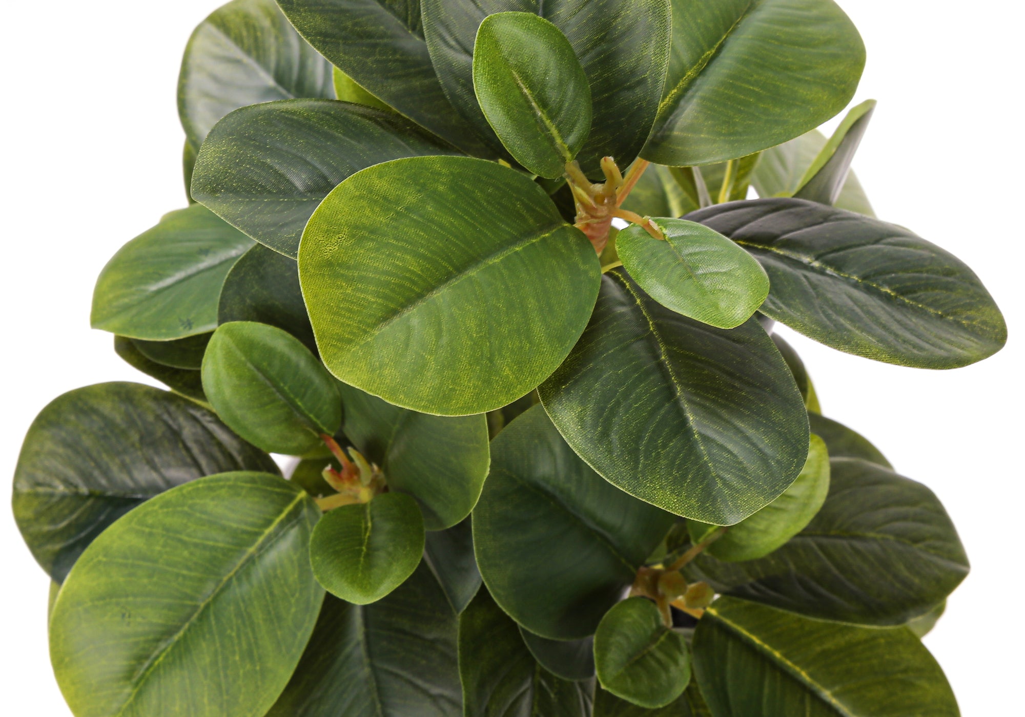 PLANTE ARTIFICIELLE - 2MCX / 14"H FICUS ELASTICA POT 4" – I 9557