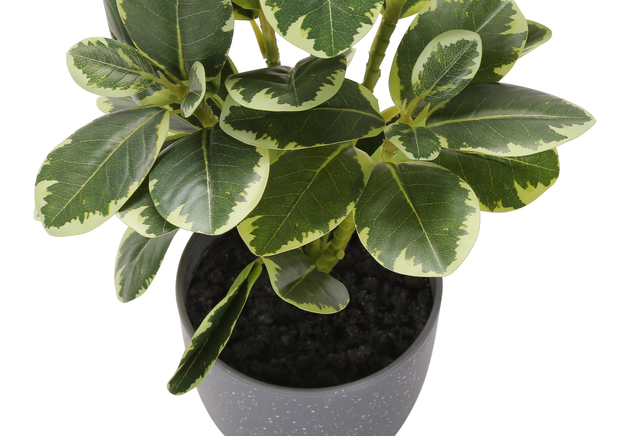 PLANTE ARTIFICIELLE - 2MCX / 14"H FICUS ELASTICA POT 4" – I 9558