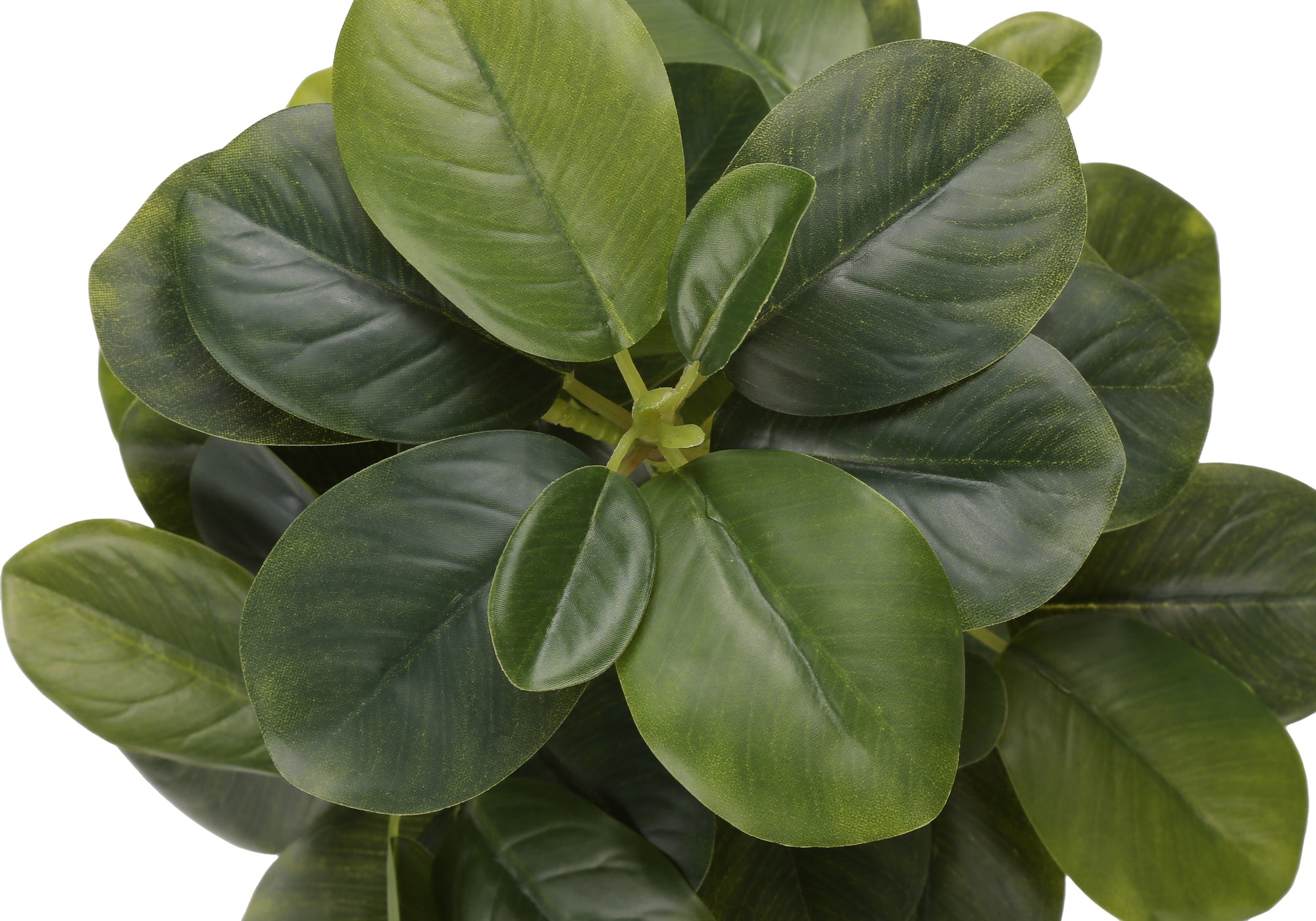 PLANTE ARTIFICIELLE - 2MCX / 14"H FICUS ELASTICA POT 4" – I 9558
