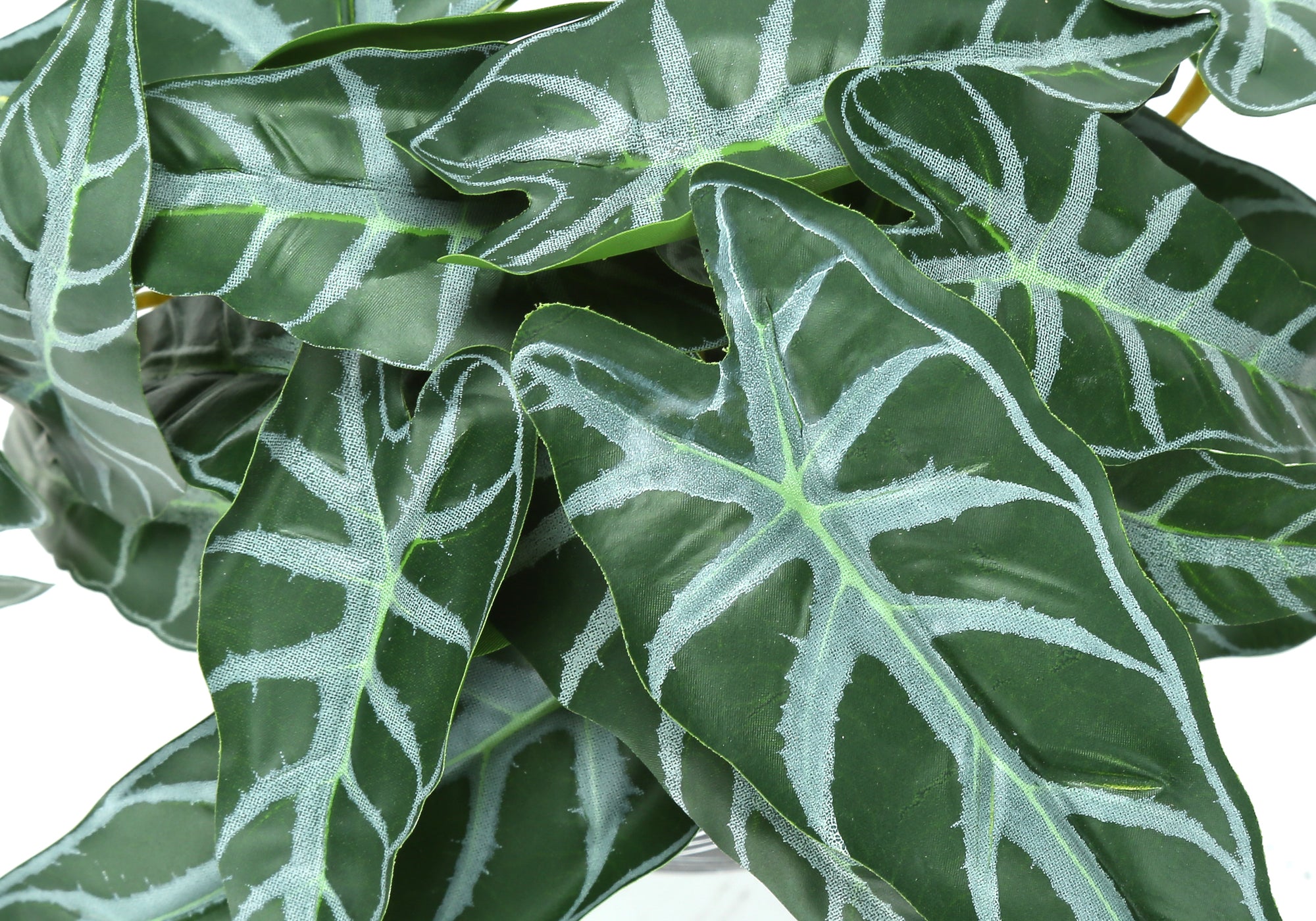 PLANTE ARTIFICIELLE - 2MCX / 8"H ALOCASIA POT CIMENT NOIR – I 9559