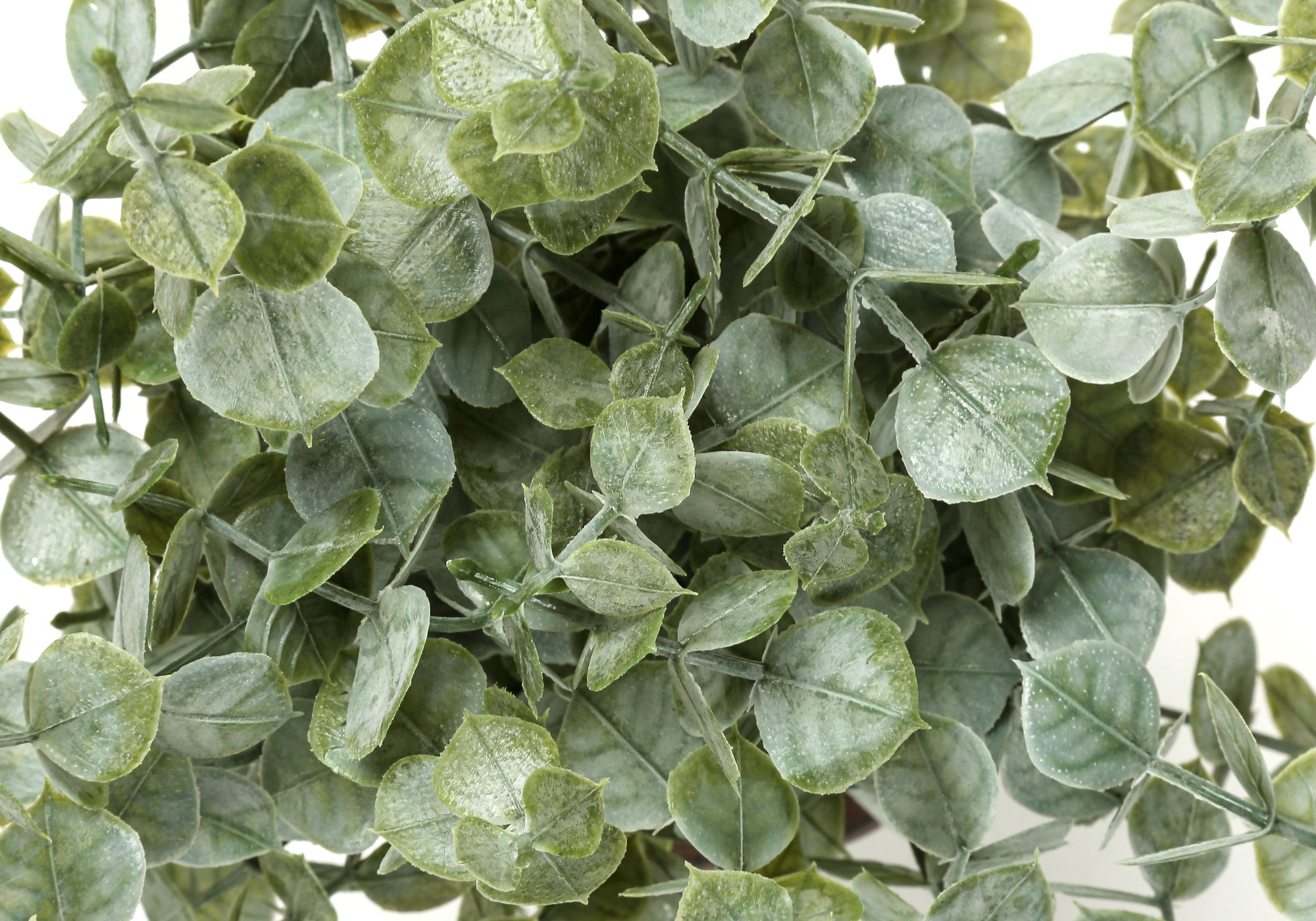 PLANTE ARTIFICIELLE - 2MCX / 13"H EUCALYPTUS/GAZON POT 4" – I 9560