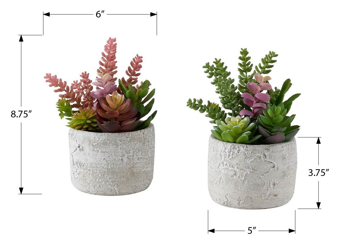 PLANTE ARTIFICIELLE - 2MCX / 9"H SUCCULENT POT CIMENT 5" – I 9366