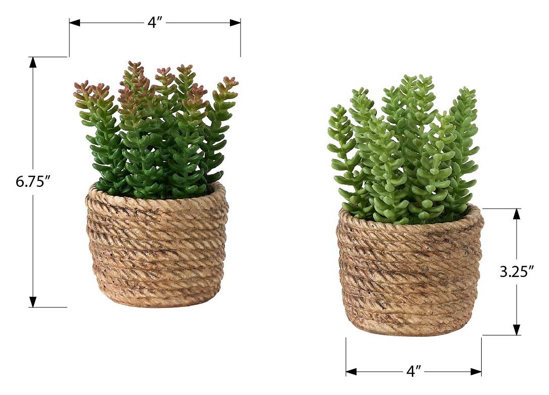 PLANTE ARTIFICIELLE - 2MCX / 7"H SUCCULENT POT CIMENT 4" – I 9367