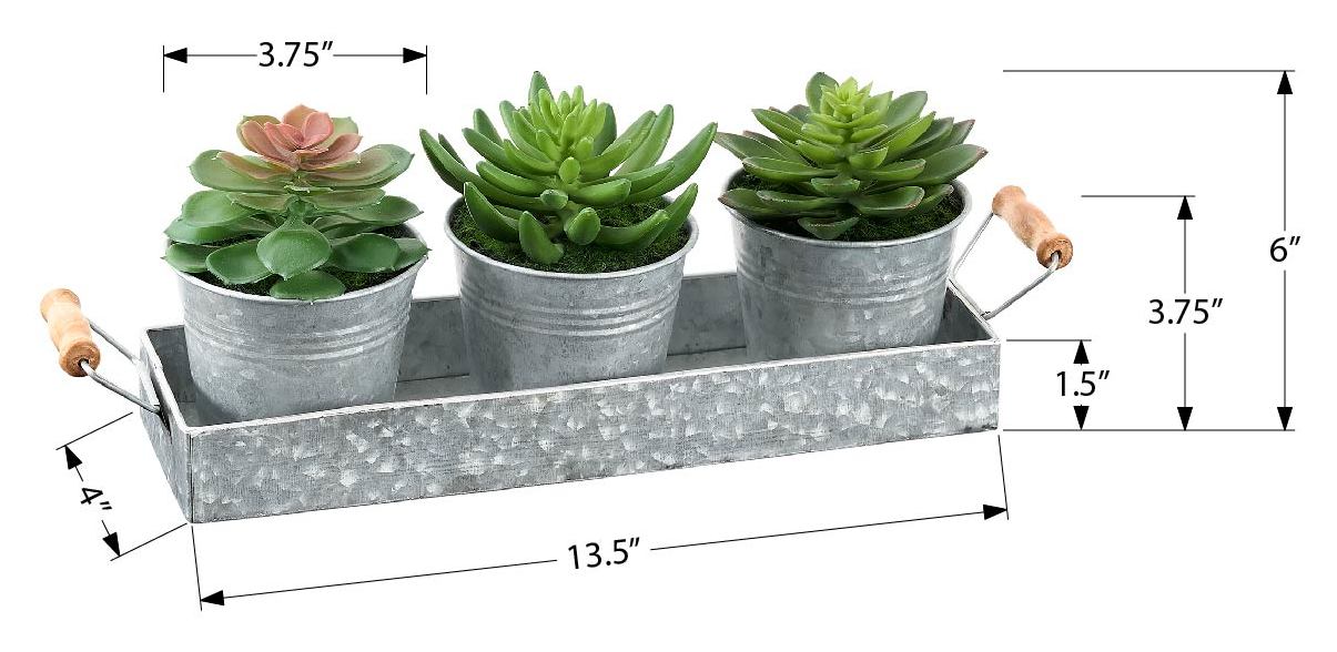 PLANTE ARTIFICIELLE - 3MCX / 6"H SUCCULENTE POT FER / METAL – I 9372