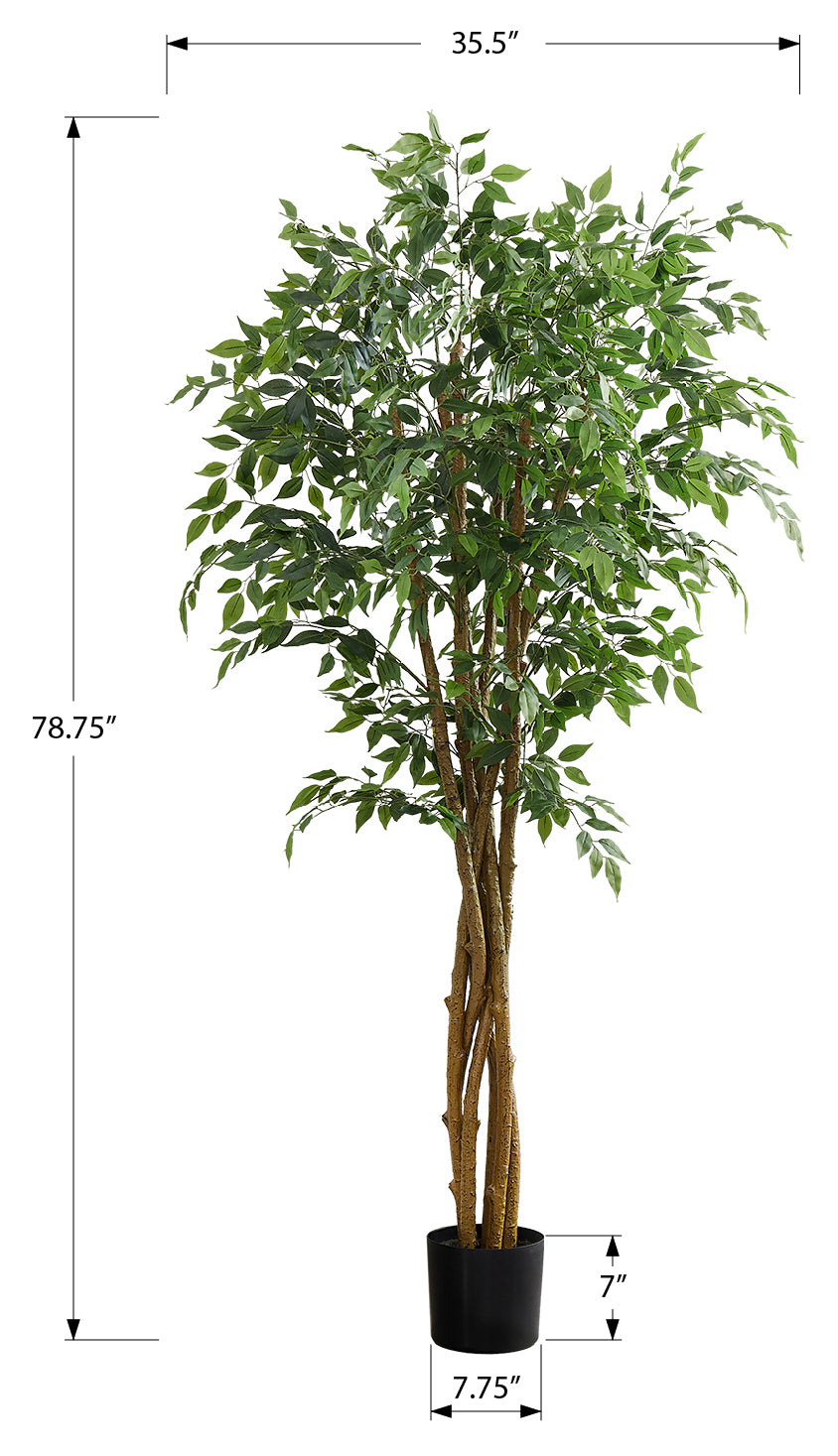 PLANTE ARTIFICIELLE - 79"H / FICUS INTERIEUR POT 8" – I 9549