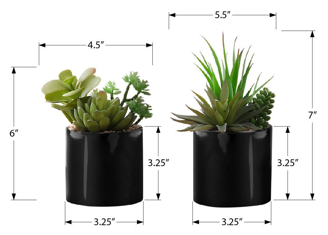 PLANTE ARTIFICIELLE - 2MCX / 7"H SUCCULENT POT 3" NOIR – I 9554