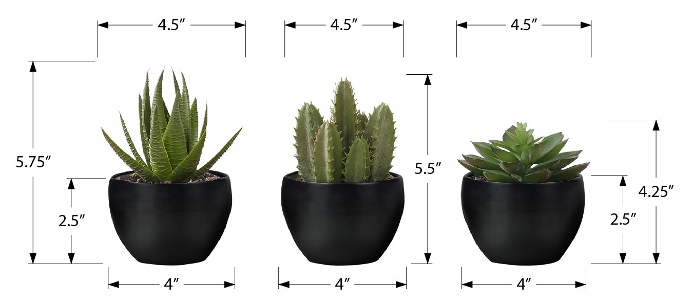 PLANTE ARTIFICIELLE - 3MCX / 6"H SUCCULENT POT NOIR 3" – I 9556