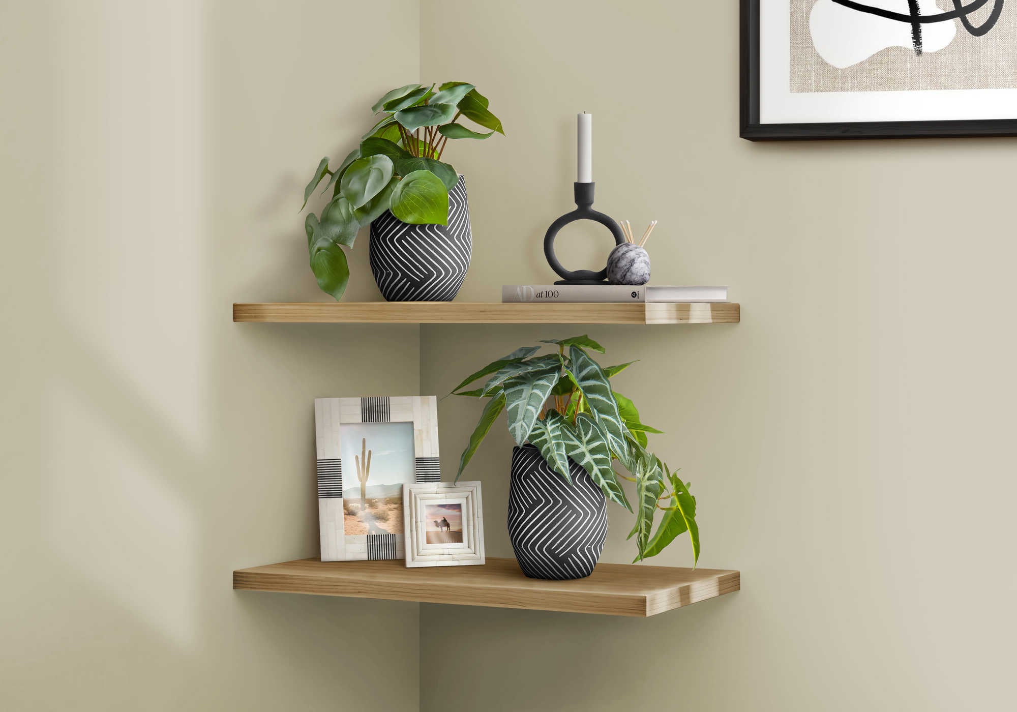 PLANTE ARTIFICIELLE - 2MCX / 8"H ALOCASIA POT CIMENT NOIR – I 9559