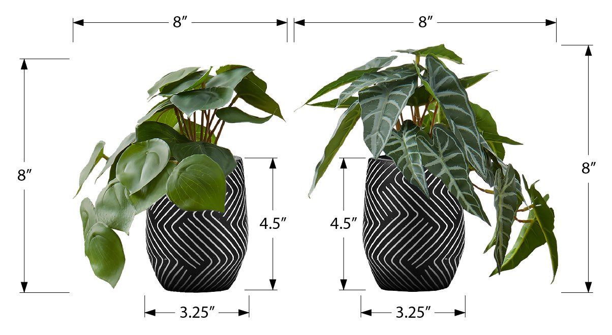 PLANTE ARTIFICIELLE - 2MCX / 8"H ALOCASIA POT CIMENT NOIR – I 9559