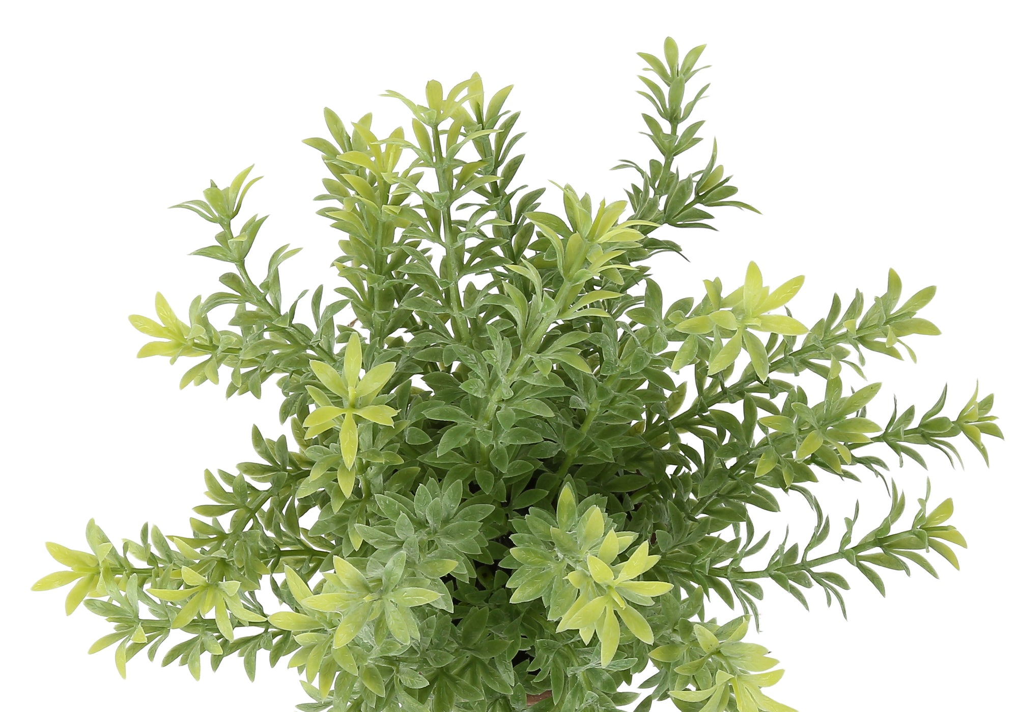 PLANTE ARTIFICIELLE - 2MCX / 12"H MULBERRY GAZON / POT 4" – I 9360