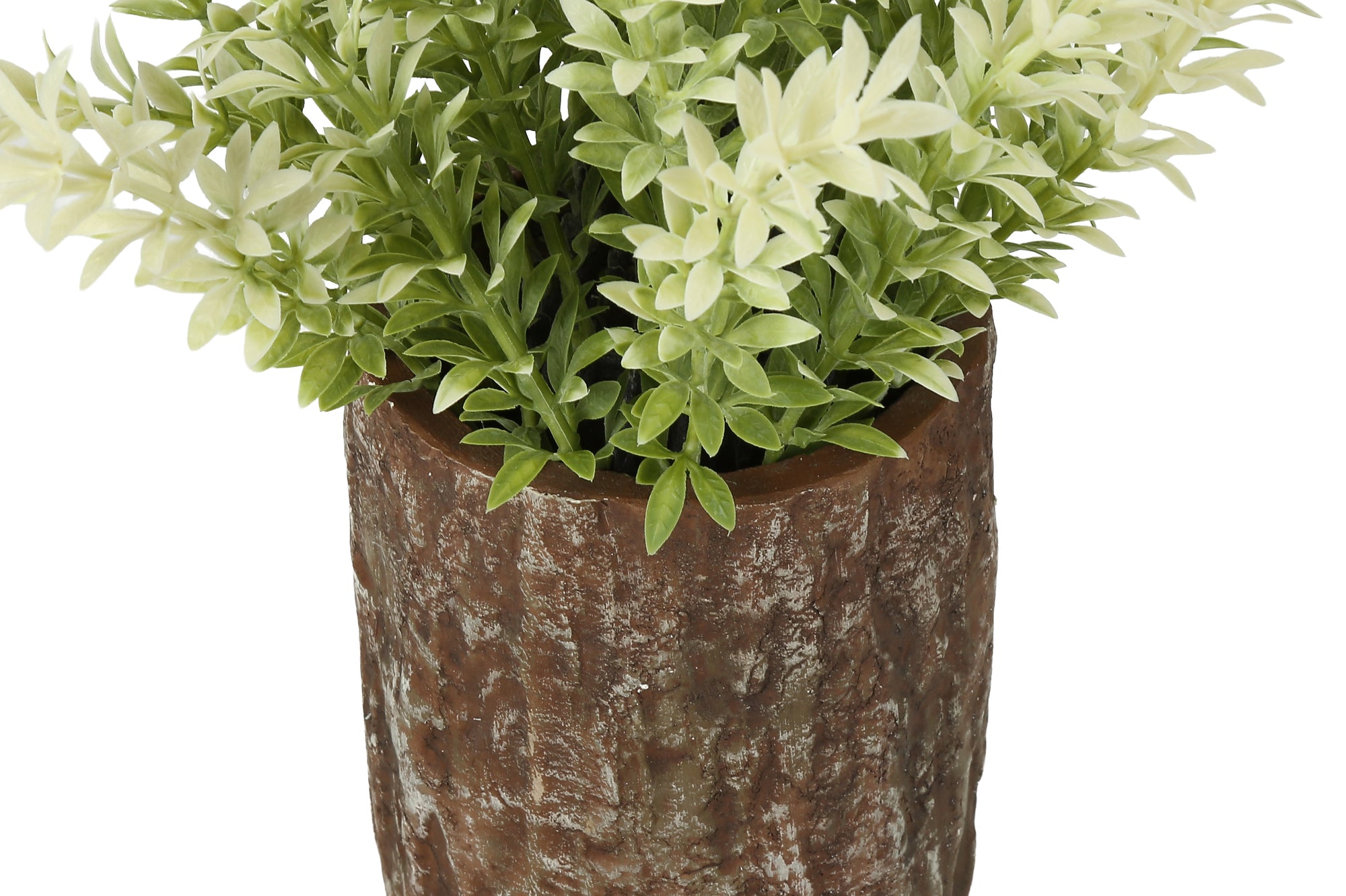 PLANTE ARTIFICIELLE - 2MCX / 12"H MULBERRY GAZON / POT 4" – I 9360