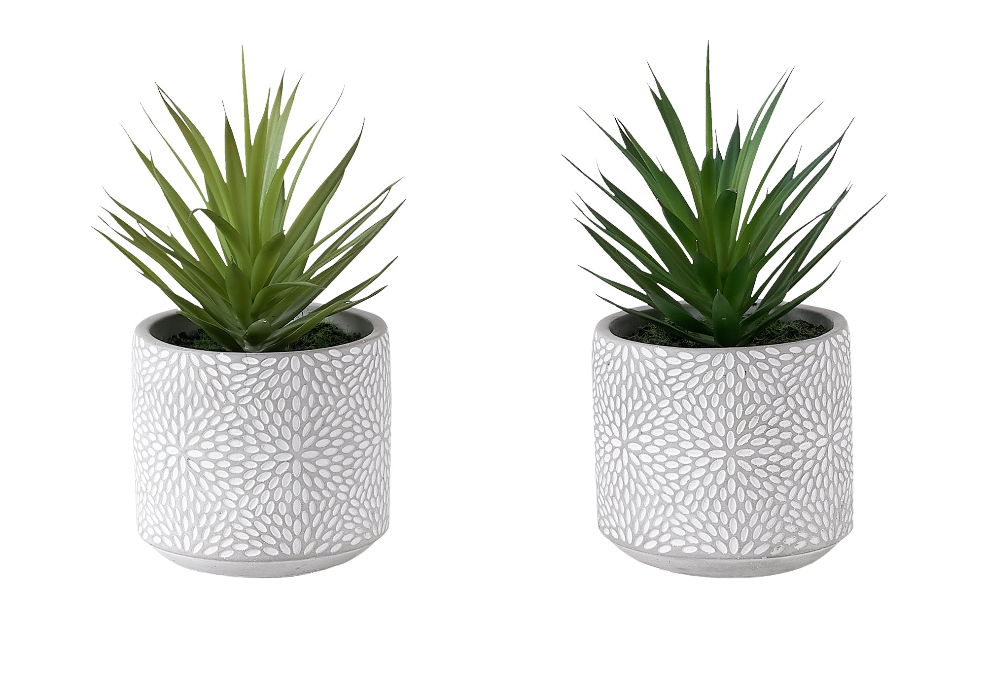 PLANTE ARTIFICIELLE - 2MCX / 9"H SUCCULENT POT CIMENT 5" – I 9362
