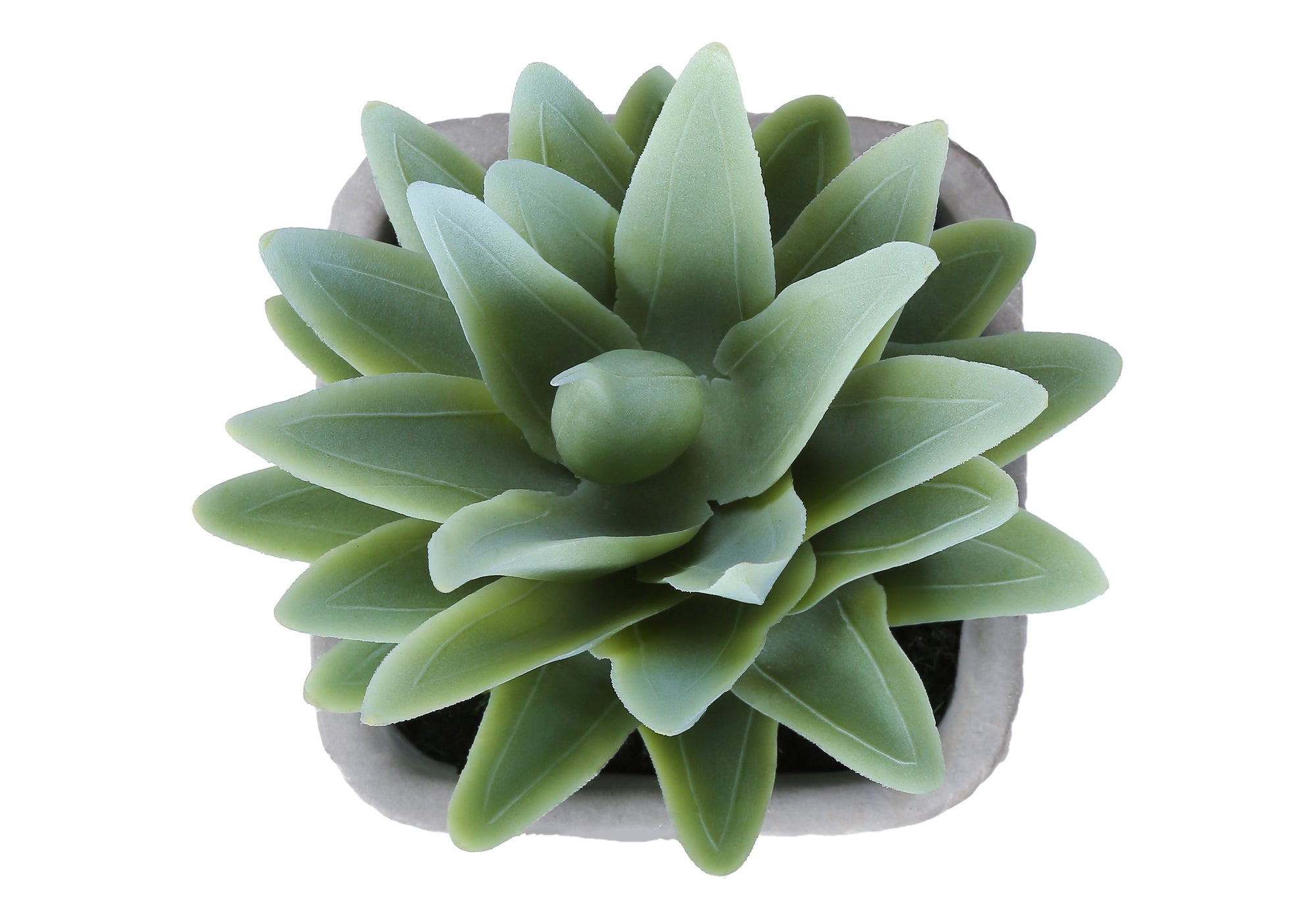 PLANTE ARTIFICIELLE - 2MCX / 8"H SUCCULENT POT CIMENT 5" – I 9363