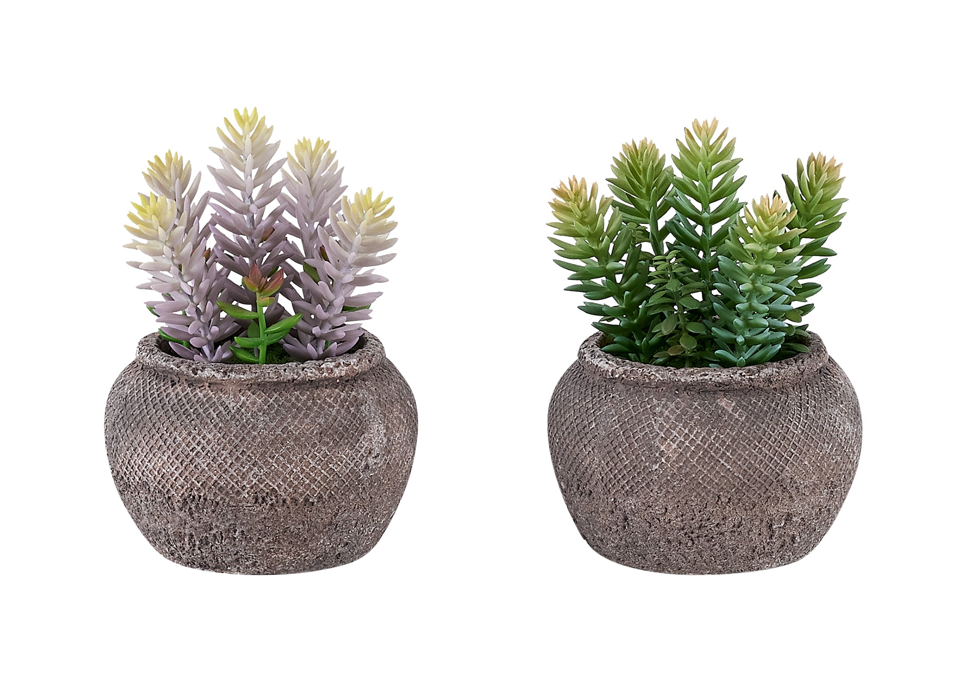 PLANTE ARTIFICIELLE - 2MCX / 8"H SUCCULENT POT CIMENT 6" – I 9364