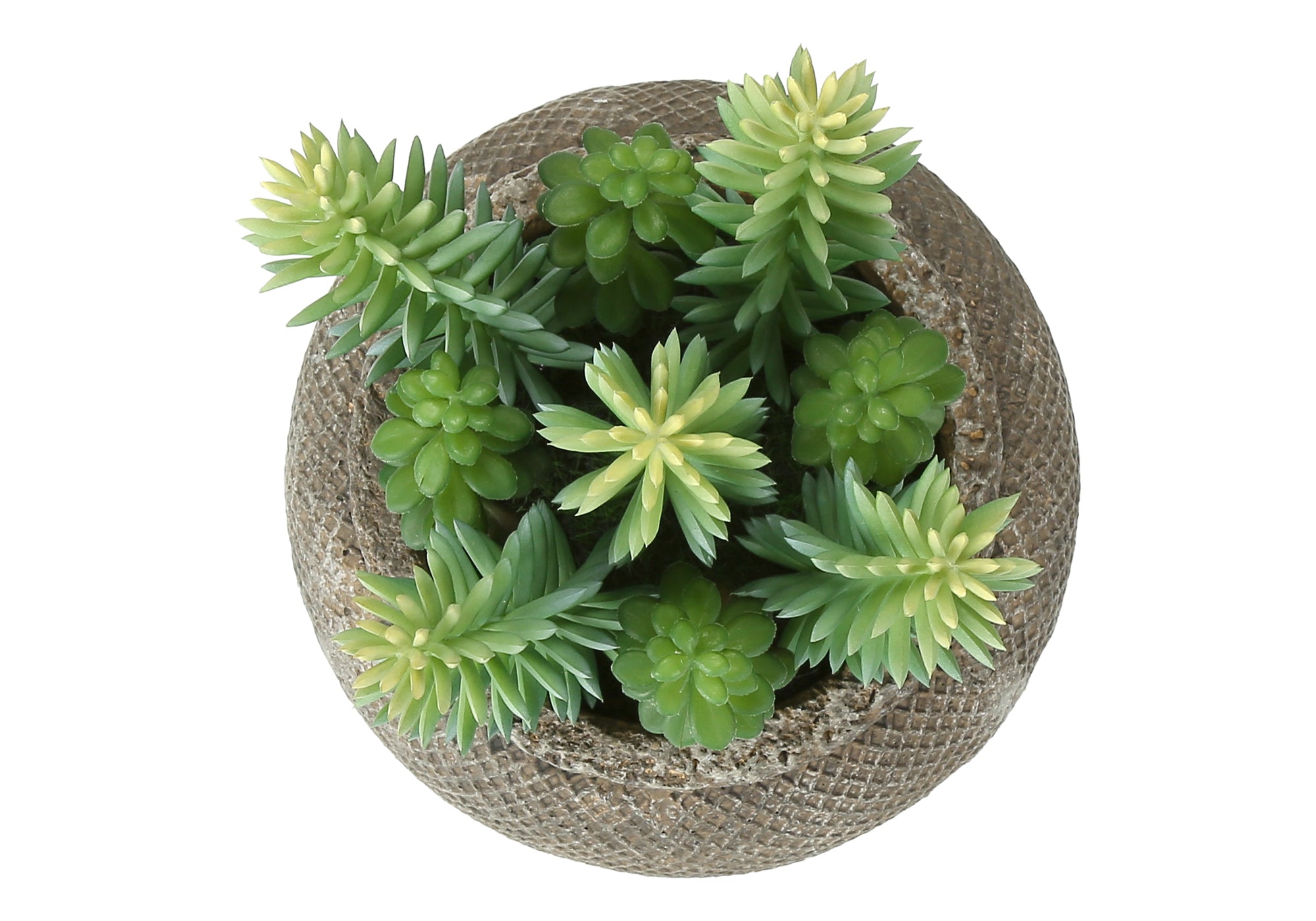 PLANTE ARTIFICIELLE - 2MCX / 8"H SUCCULENT POT CIMENT 6" – I 9364