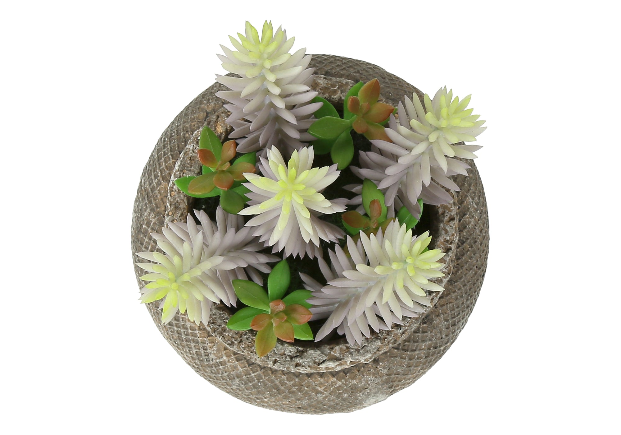 PLANTE ARTIFICIELLE - 2MCX / 8"H SUCCULENT POT CIMENT 6" – I 9364