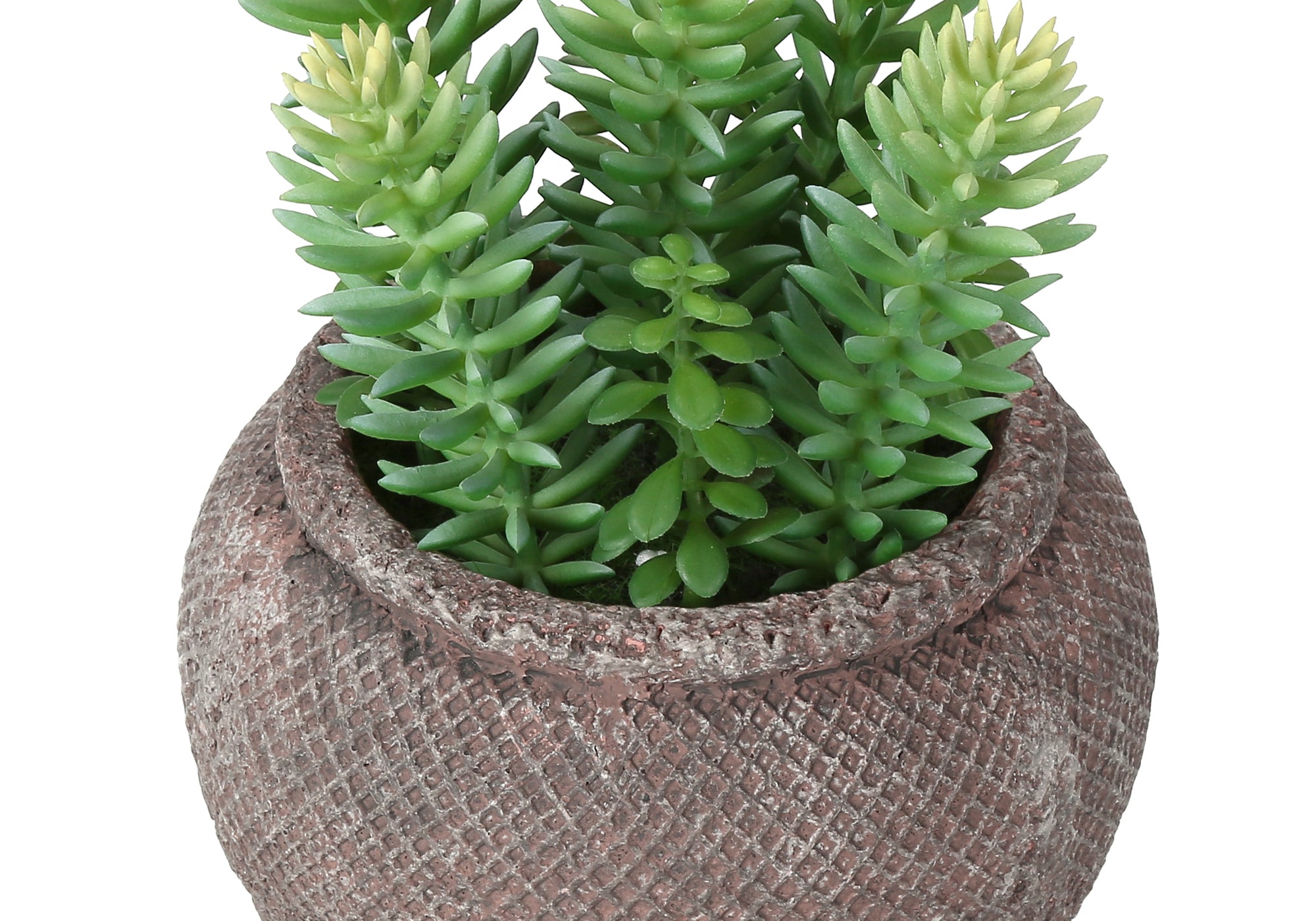 PLANTE ARTIFICIELLE - 2MCX / 8"H SUCCULENT POT CIMENT 6" – I 9364