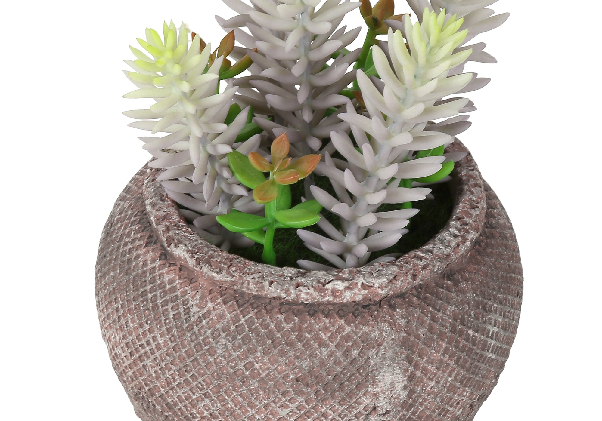 PLANTE ARTIFICIELLE - 2MCX / 8"H SUCCULENT POT CIMENT 6" – I 9364