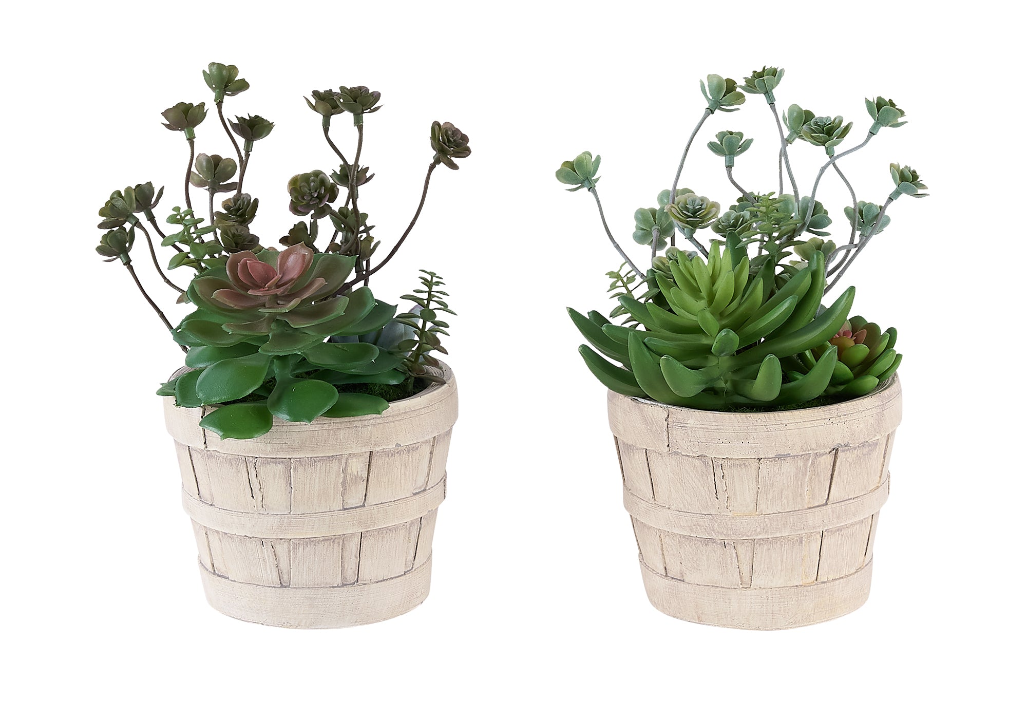 PLANTE ARTIFICIELLE - 2MCX / 9"H SUCCULENT POT CIMENT 5" – I 9365