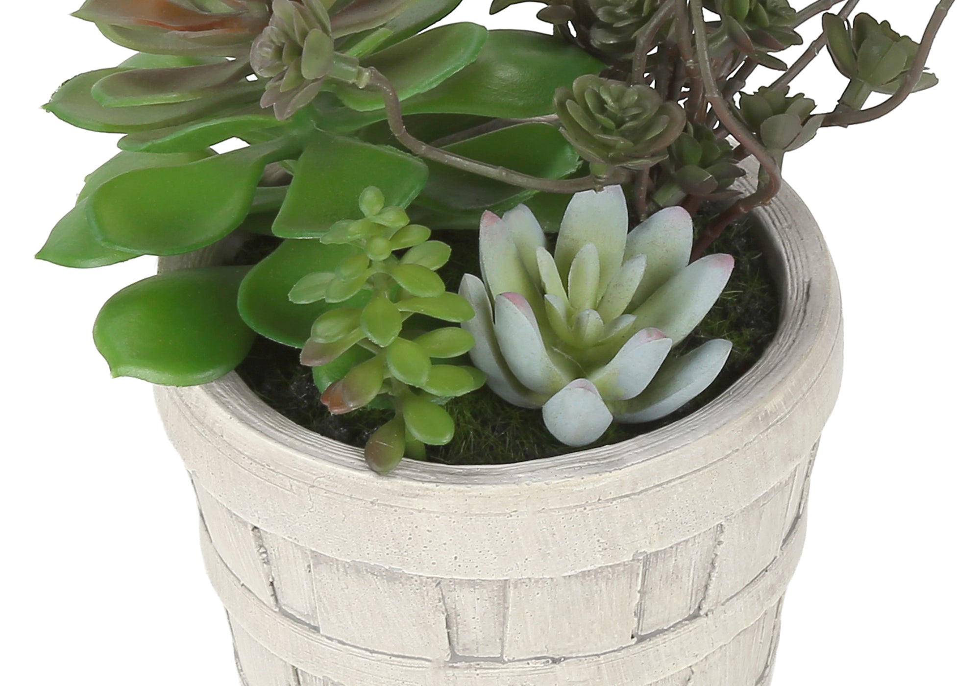 PLANTE ARTIFICIELLE - 2MCX / 9"H SUCCULENT POT CIMENT 5" – I 9365