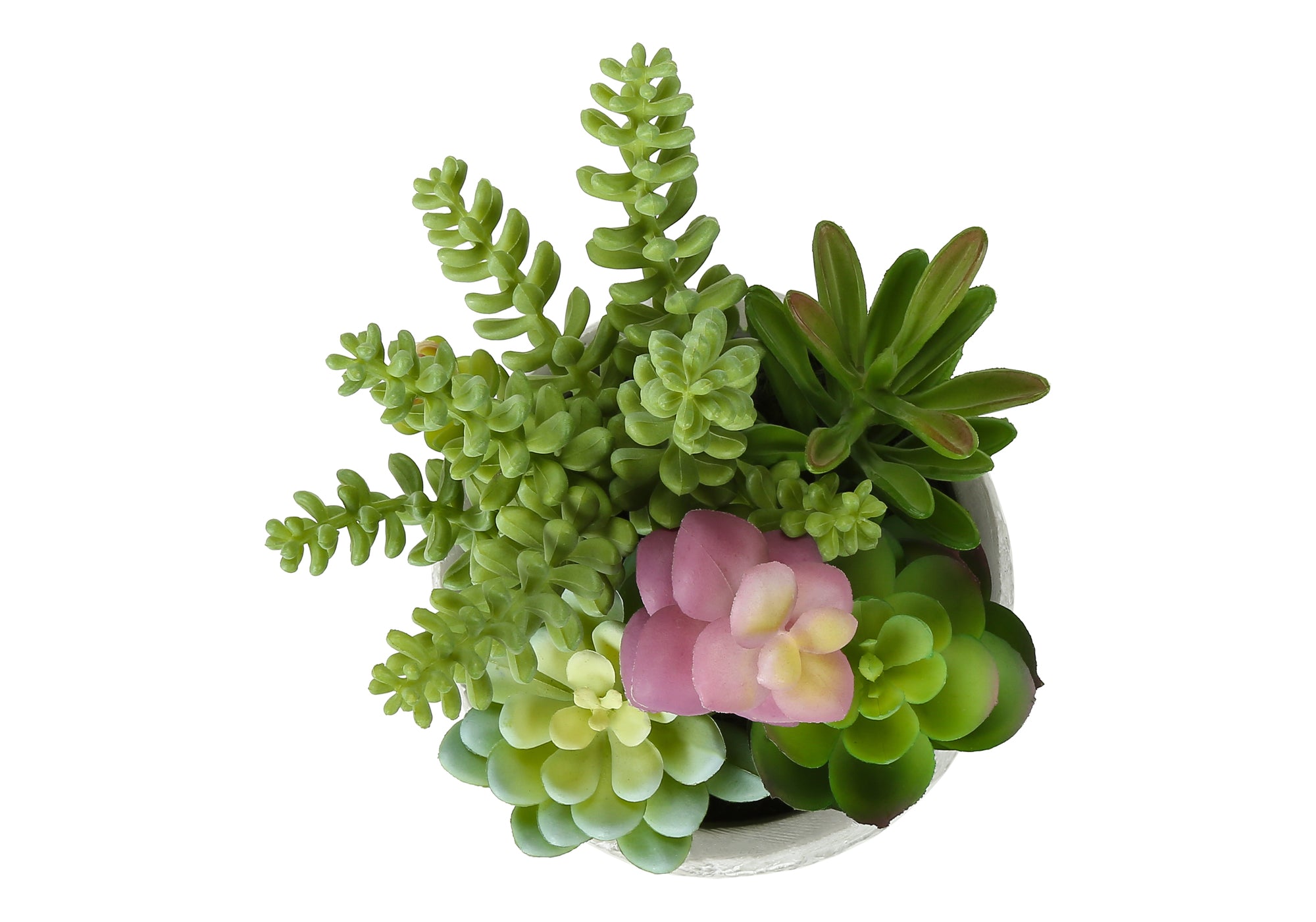 PLANTE ARTIFICIELLE - 2MCX / 9"H SUCCULENT POT CIMENT 5" – I 9366