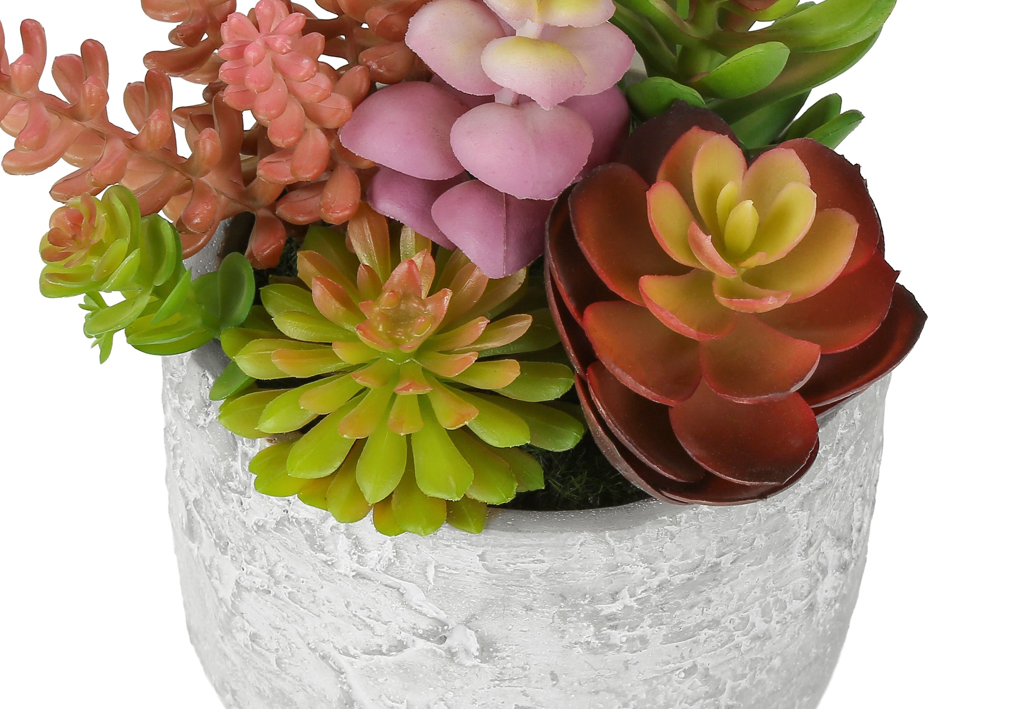 PLANTE ARTIFICIELLE - 2MCX / 9"H SUCCULENT POT CIMENT 5" – I 9366