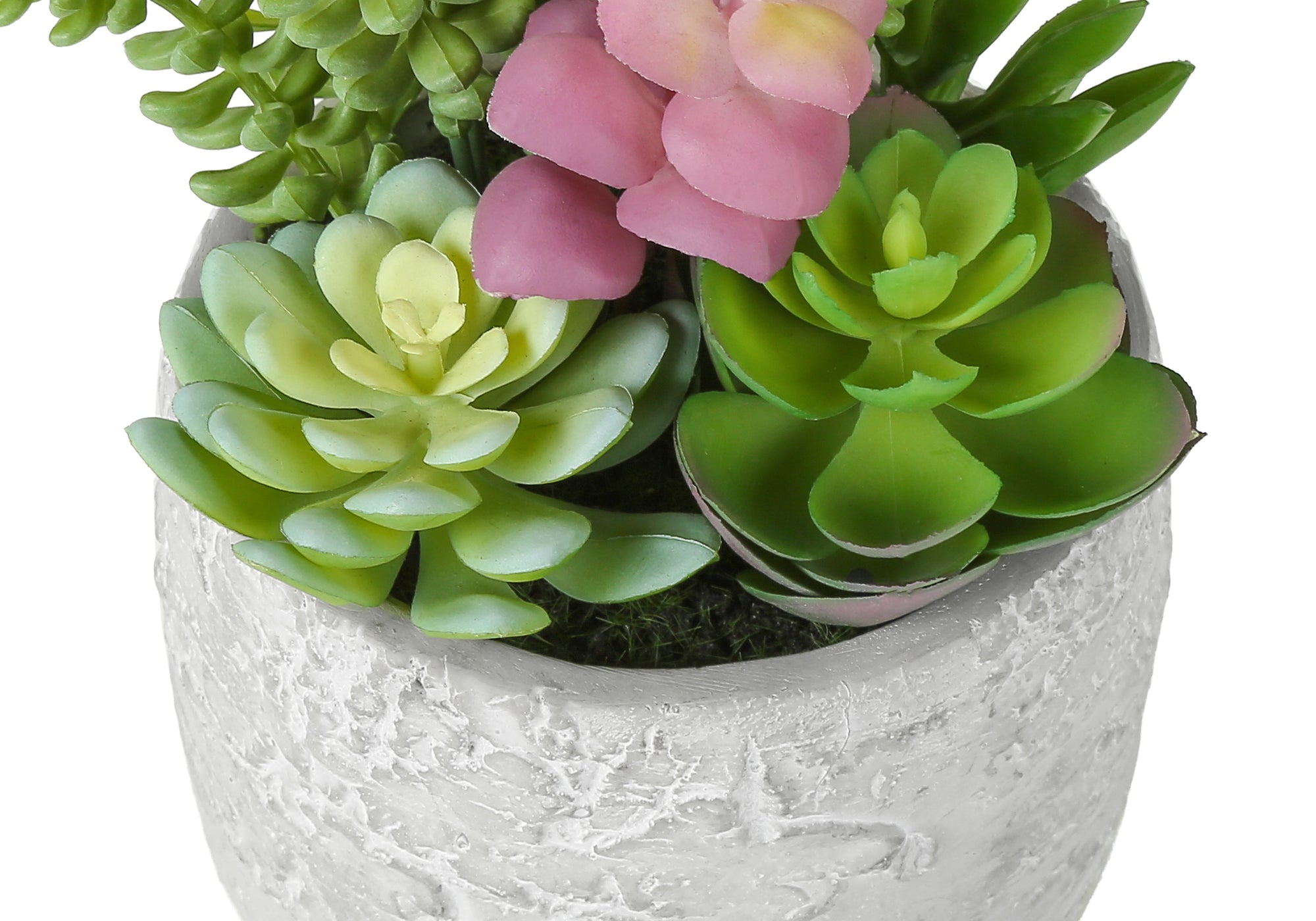 PLANTE ARTIFICIELLE - 2MCX / 9"H SUCCULENT POT CIMENT 5" – I 9366