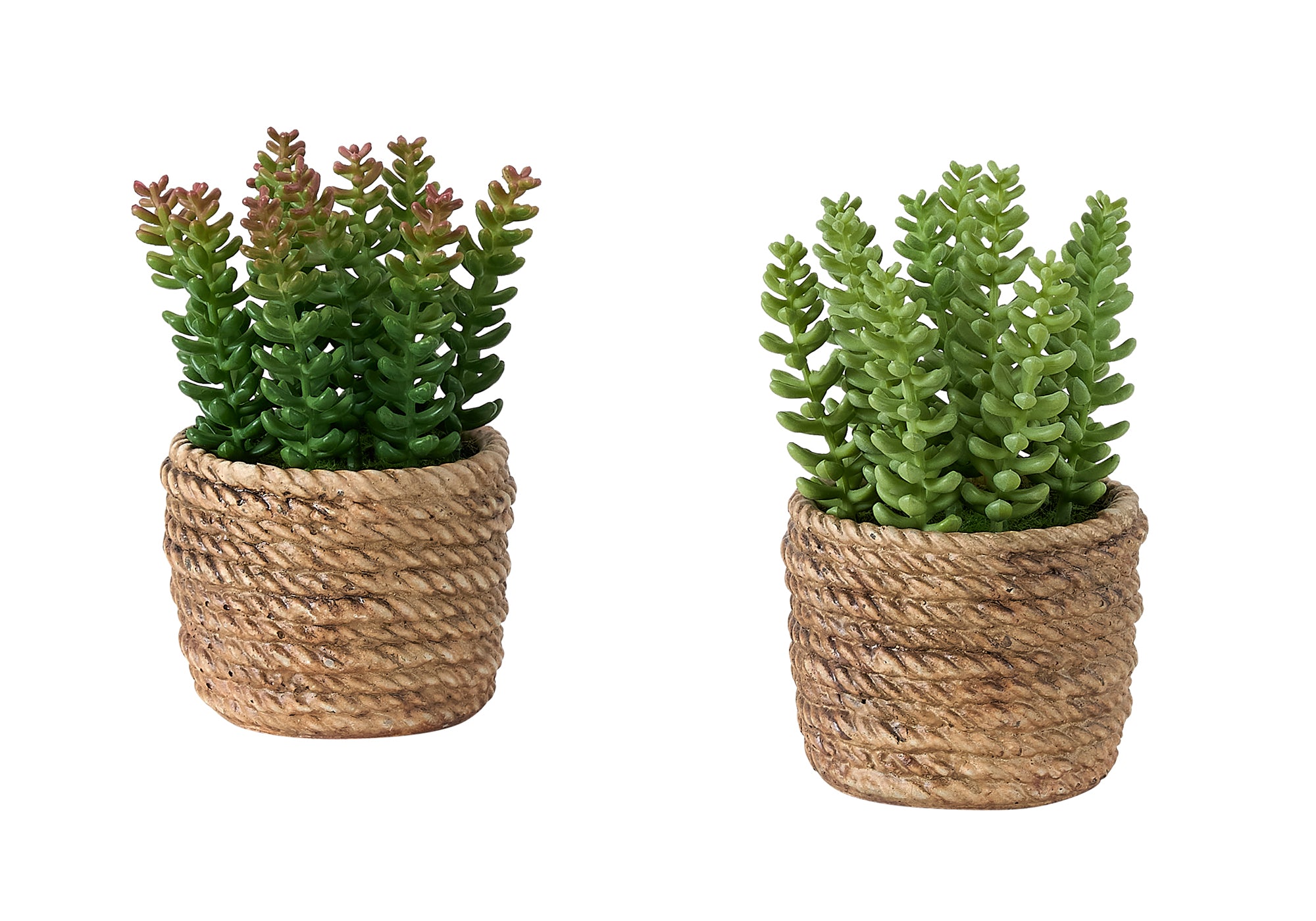PLANTE ARTIFICIELLE - 2MCX / 7"H SUCCULENT POT CIMENT 4" – I 9367