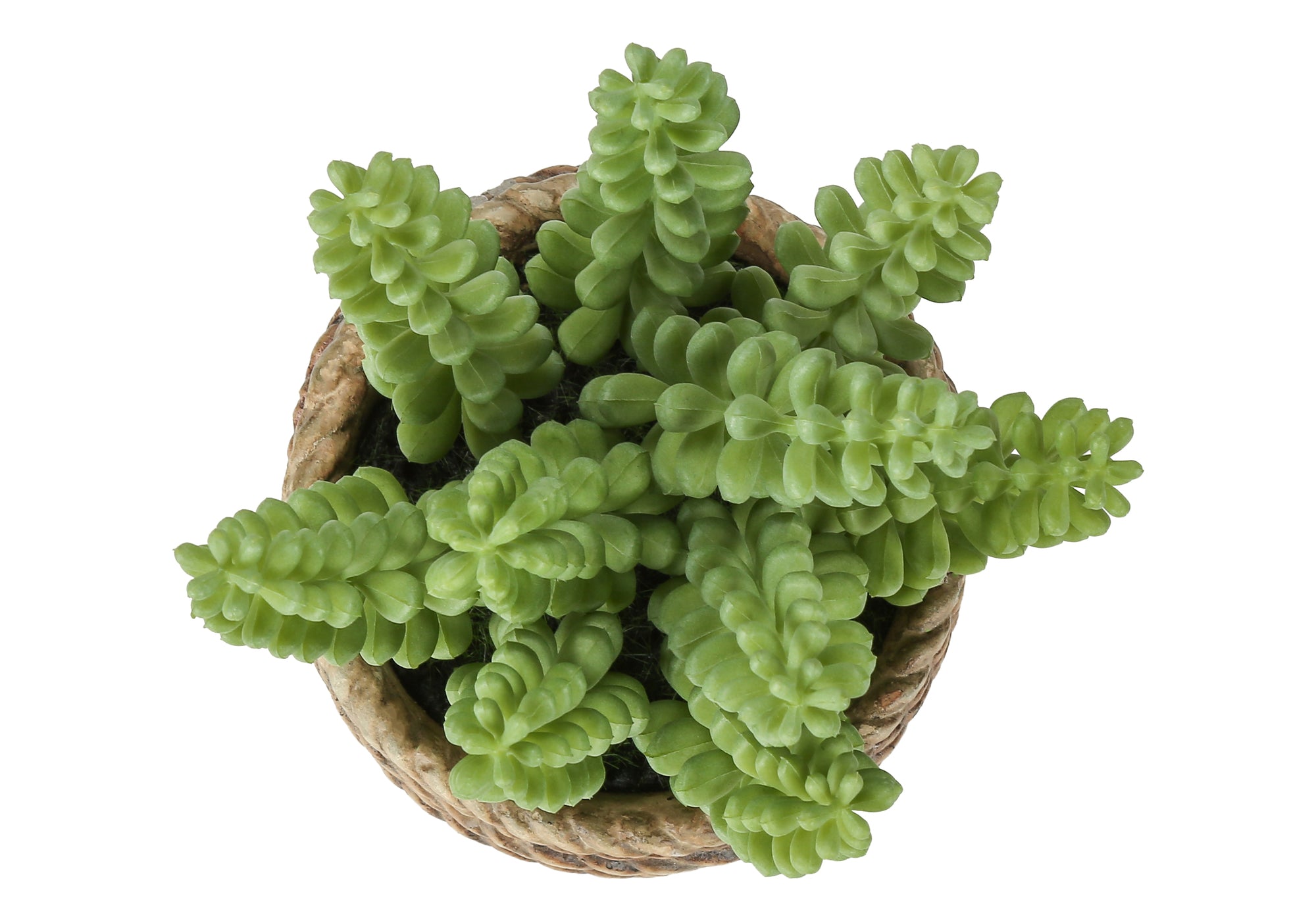 PLANTE ARTIFICIELLE - 2MCX / 7"H SUCCULENT POT CIMENT 4" – I 9367