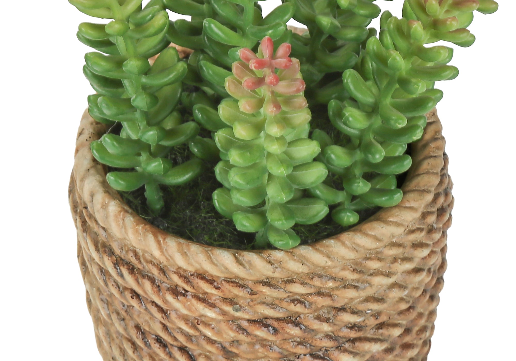 PLANTE ARTIFICIELLE - 2MCX / 7"H SUCCULENT POT CIMENT 4" – I 9367