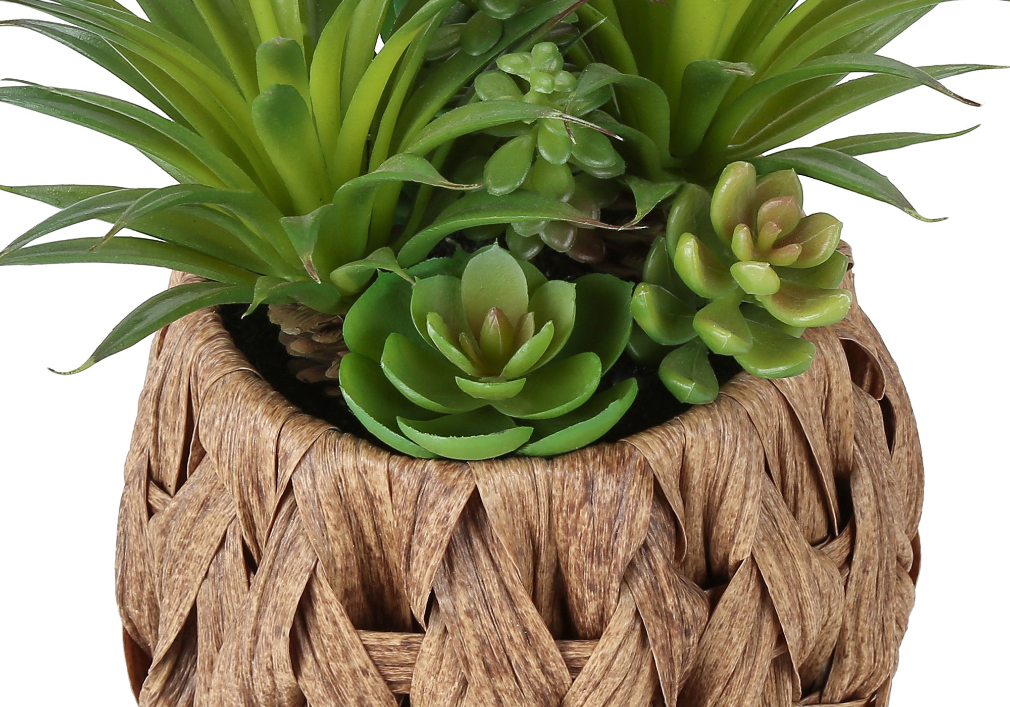 PLANTE ARTIFICIELLE - 2MCX / 9"H SUCCULENTE POT TISSE 6" – I 9369
