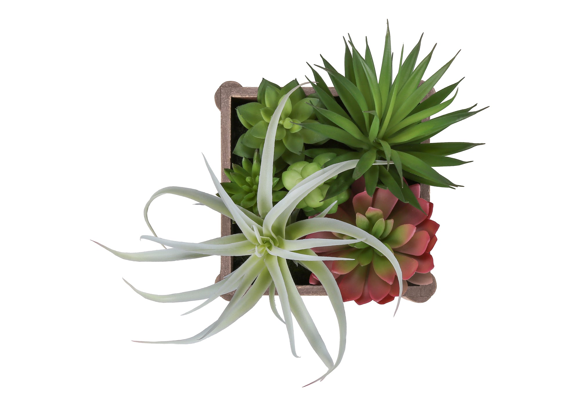 PLANTE ARTIFICIELLE - 2MCX / 10"H SUCCULENTE 7"X7" POT BOIS – I 9371